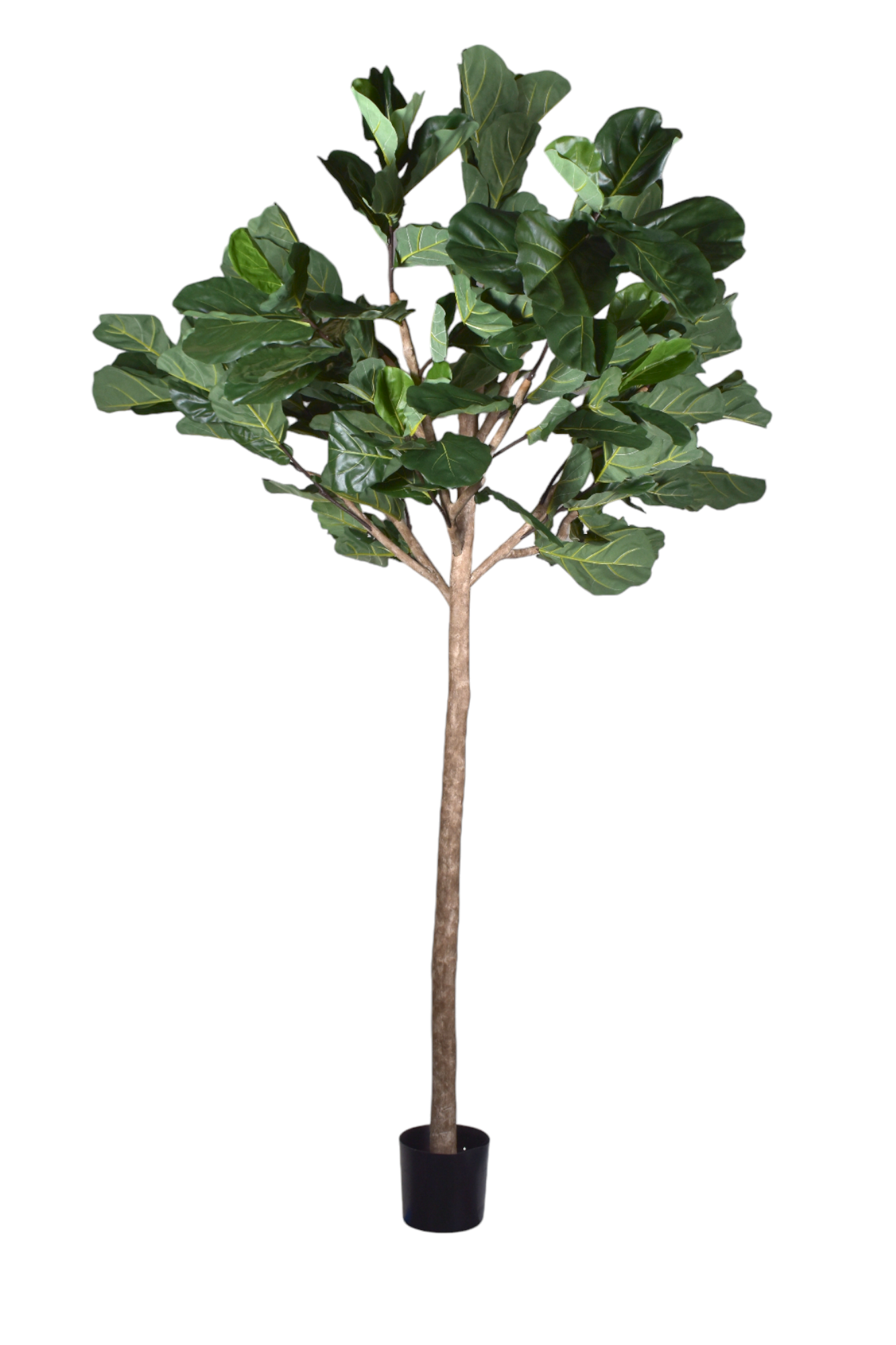artificial plants fiddle leaf fig 11' Giant Fiddle Leaf Fig Tree- UV Protected FP1289