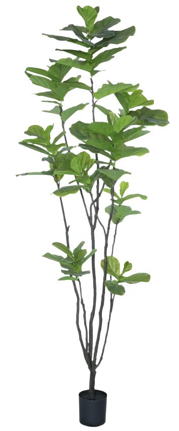 8' Fiddle Leaf Fig   FP1335