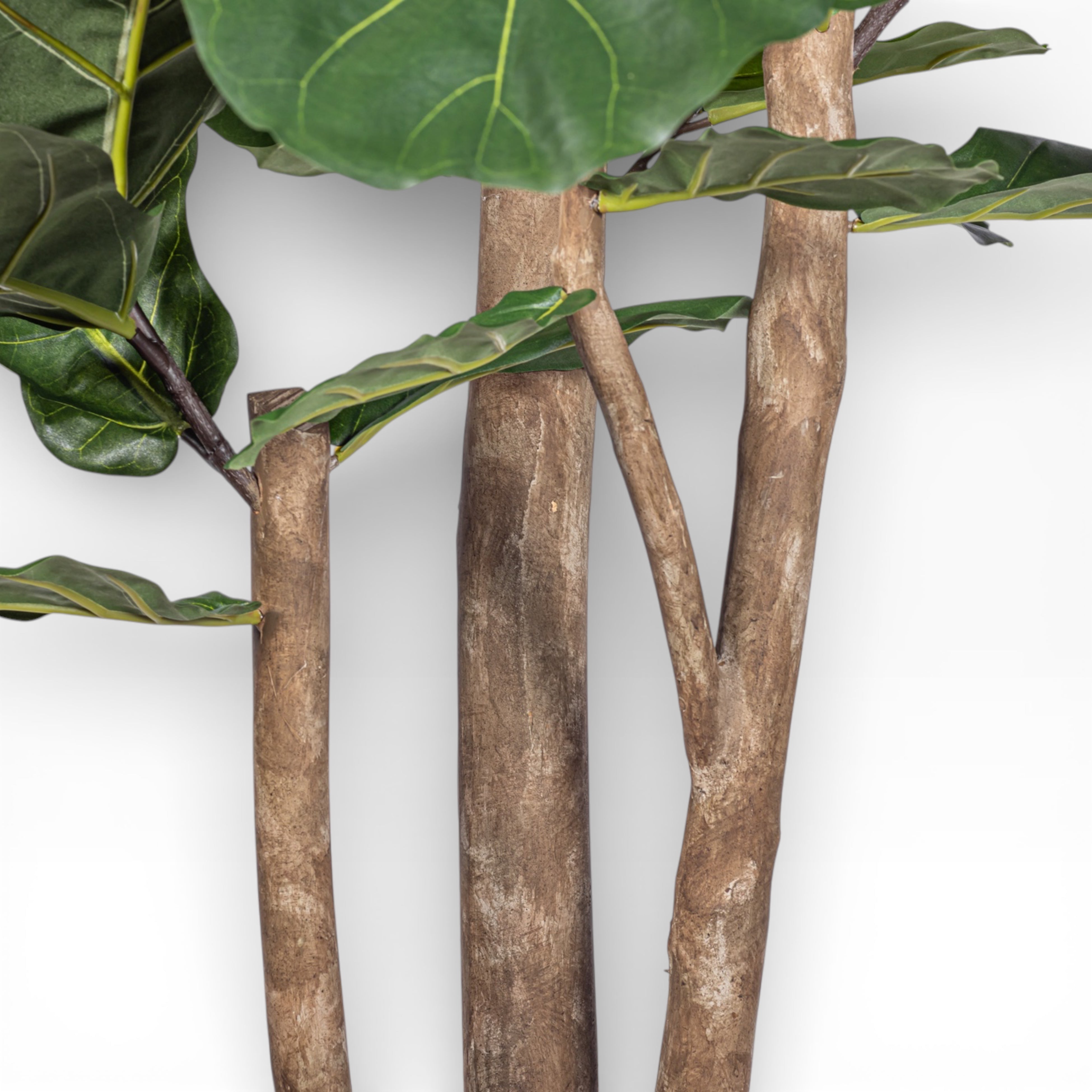 7' Fiddle Leaf Fig Tree FP1402