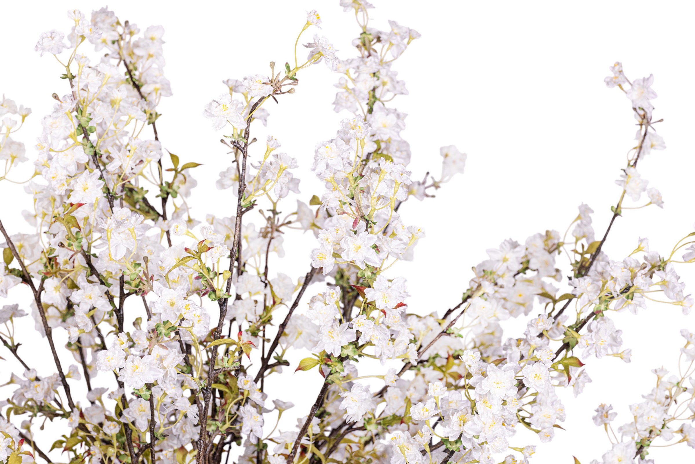 6' White Cherry Blossom Tree FP1415