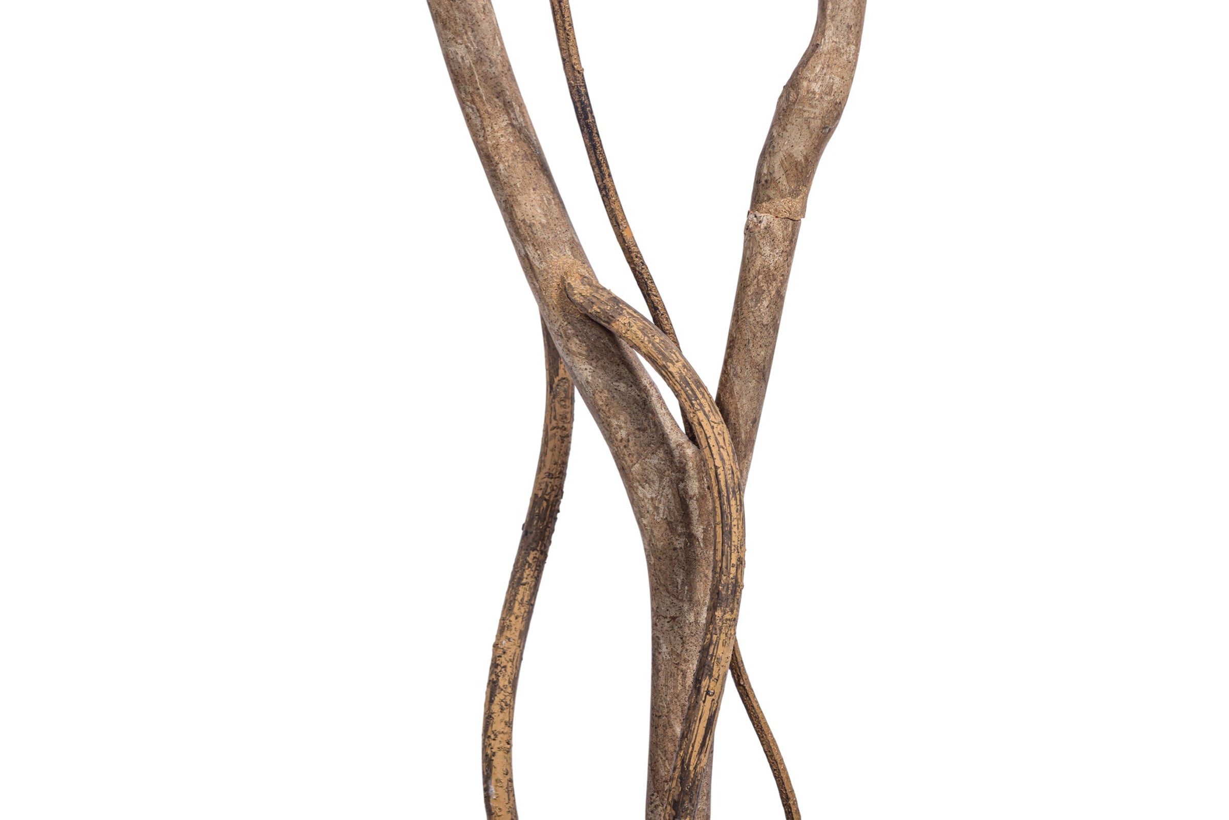 7' Royal Longifolia Tree FP1432