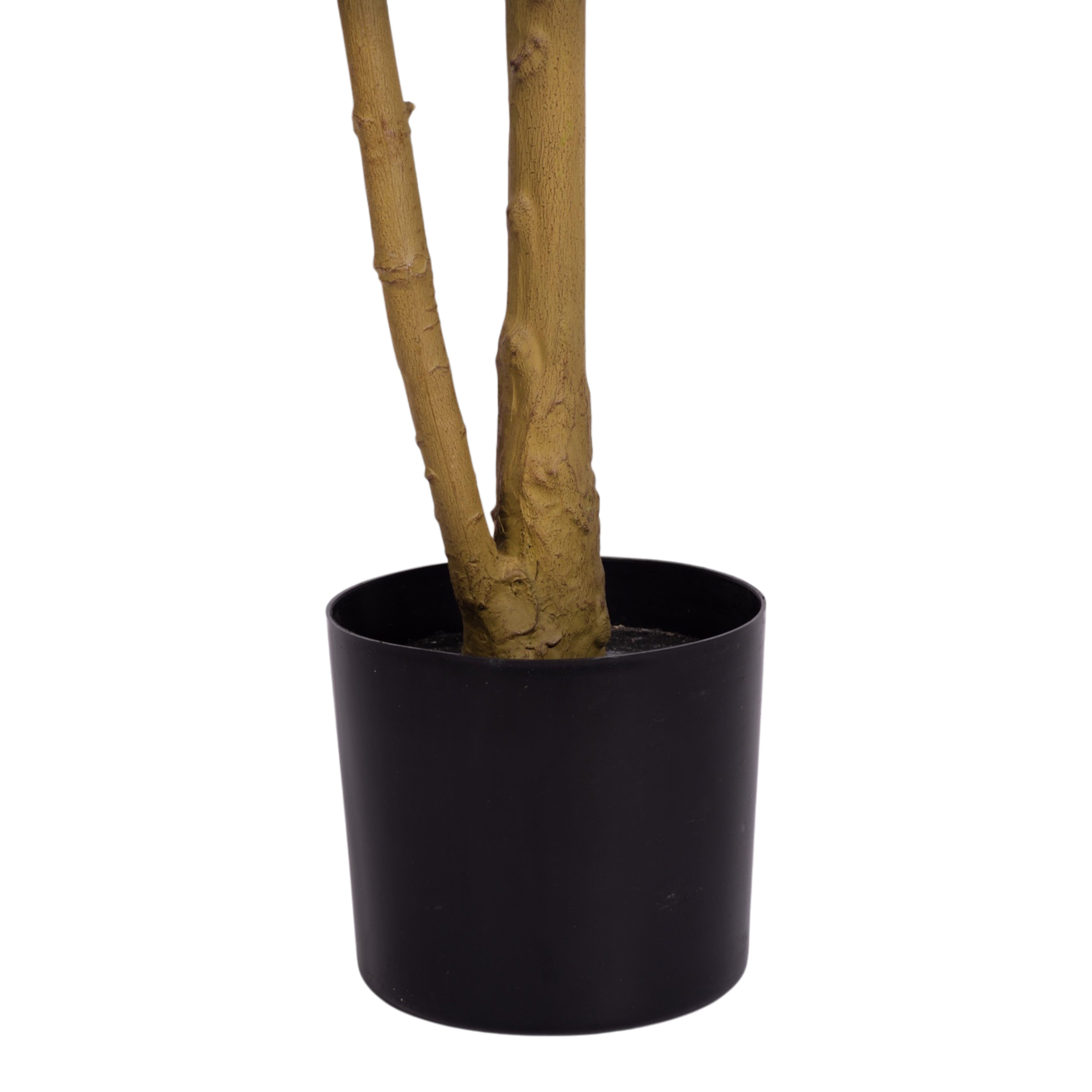 7.5' Jacaranda FP1439