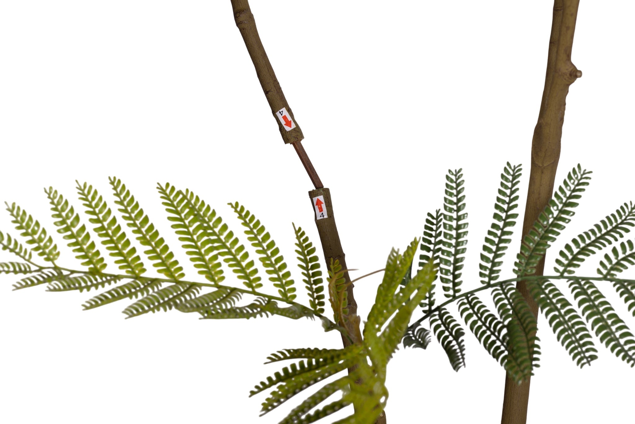 7.5' Jacaranda FP1439