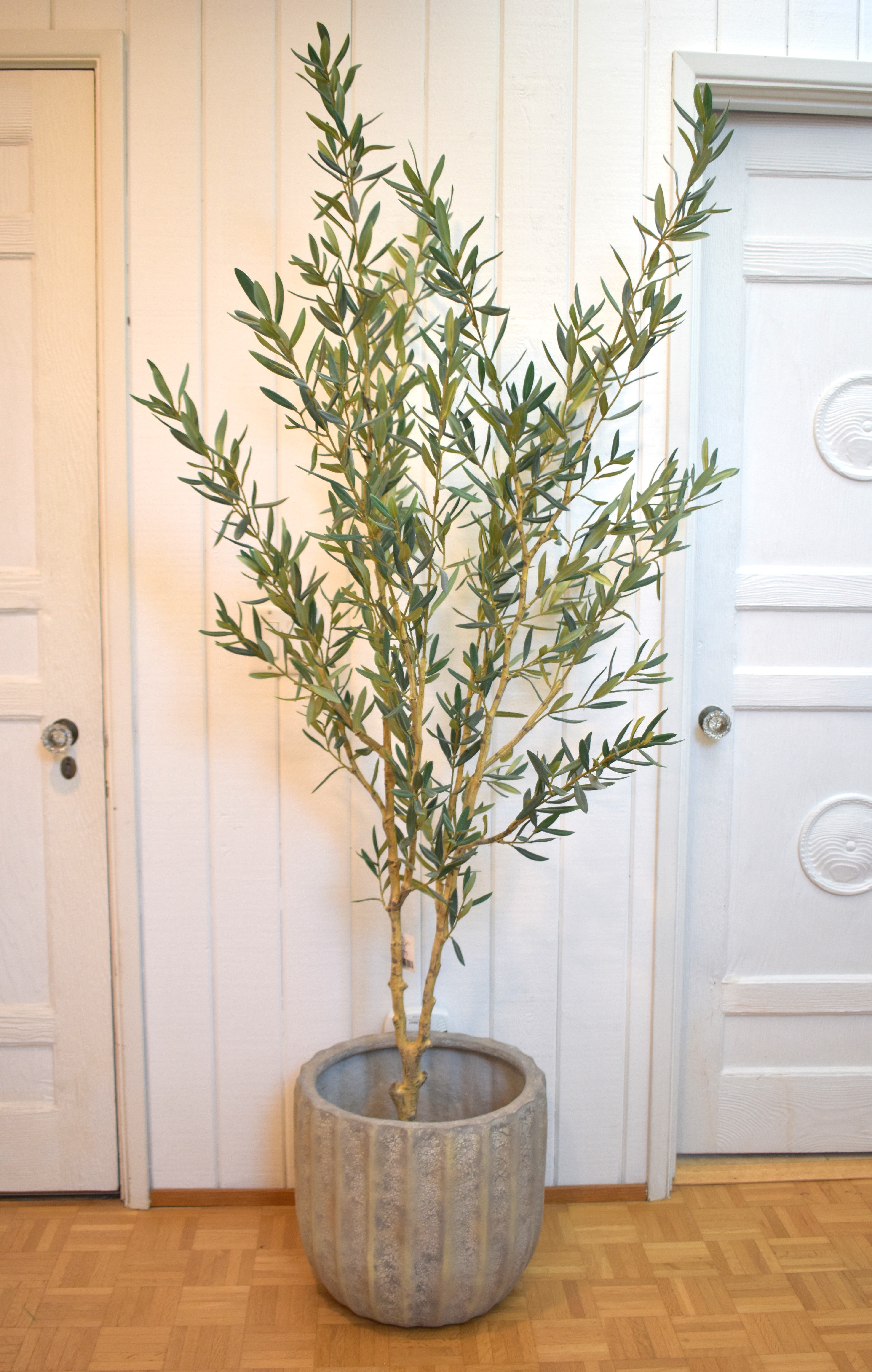 Atlantis Collection Fiberglass Planter CN1246