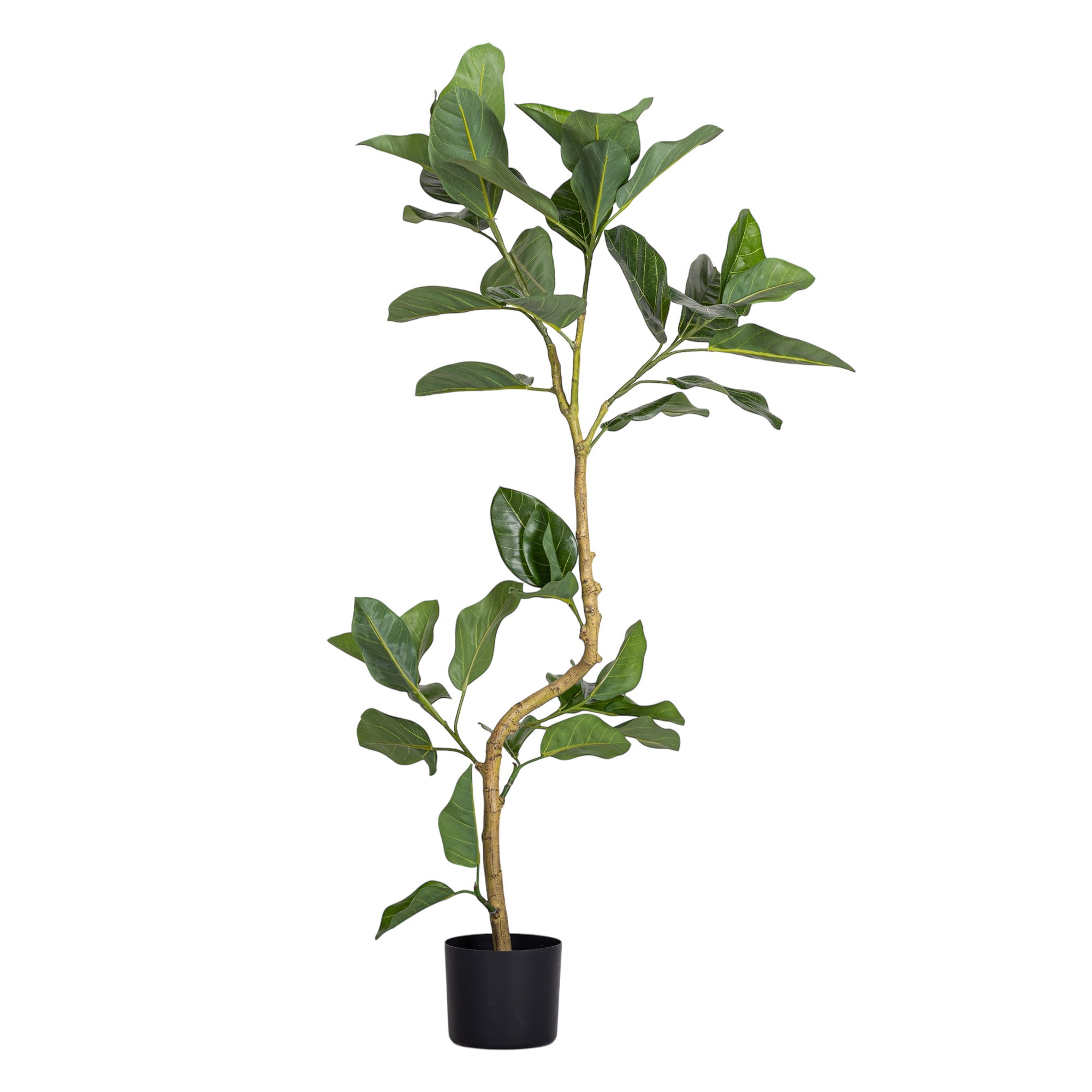faux audrey ficus 4' Spiral Audrey Ficus FP1455