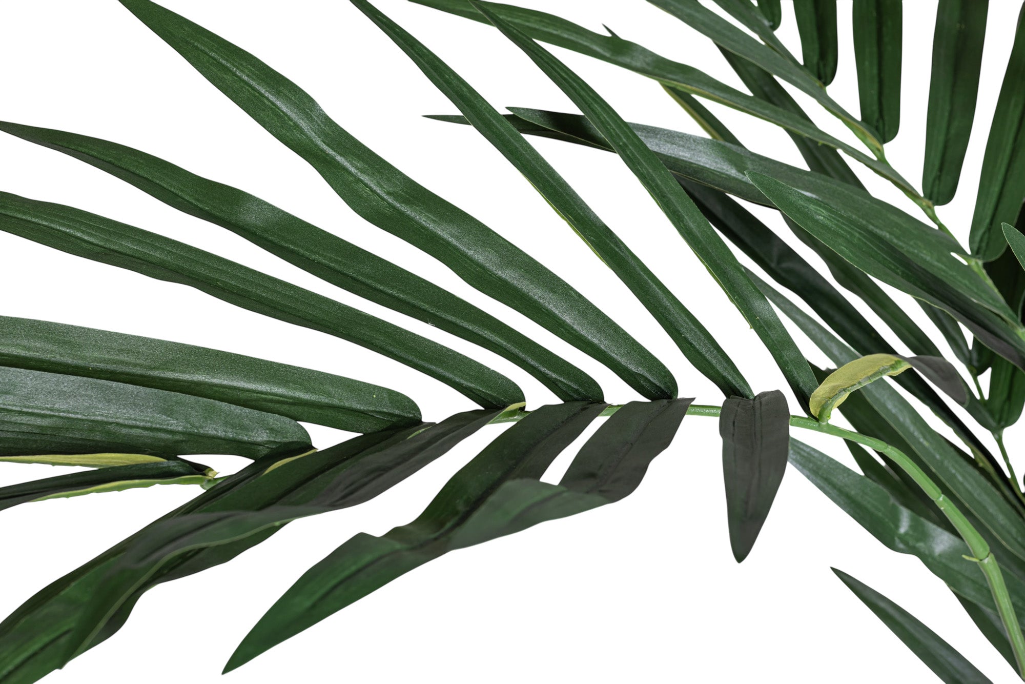 7' Kentia Palm - UV Treated FP1458UV