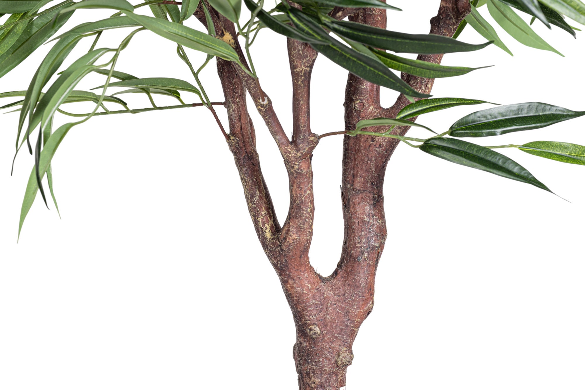 6' Willow Tree FP1467
