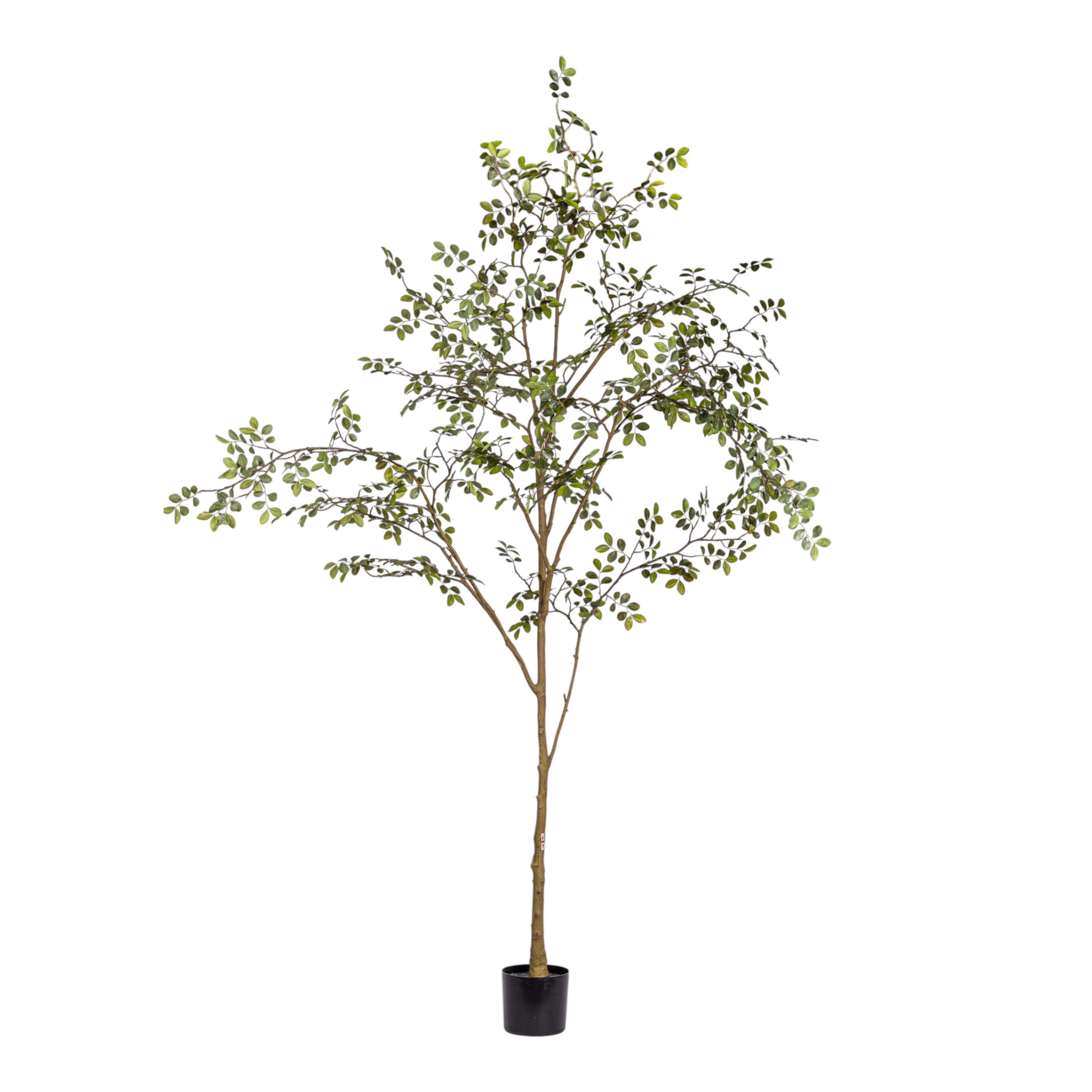 8' Rose Tree FP1473