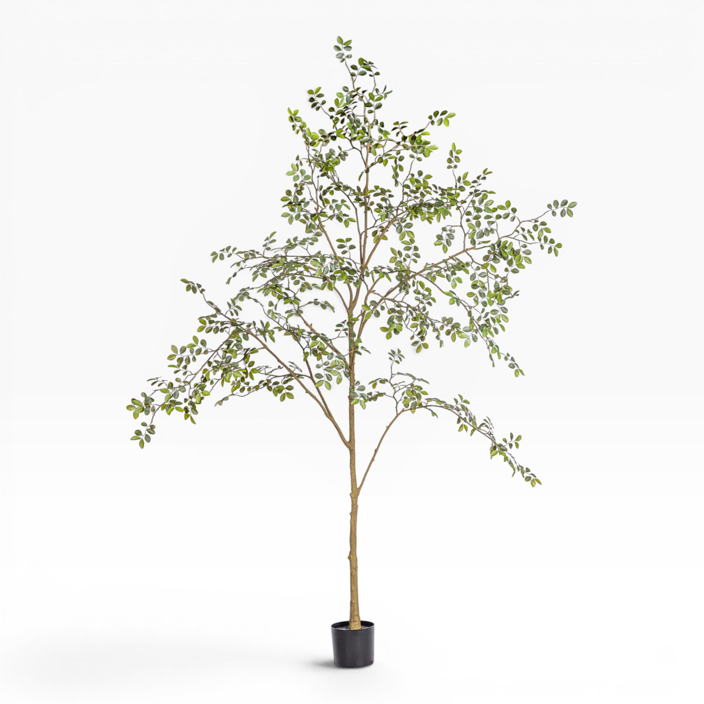 8' Rose Tree FP1473