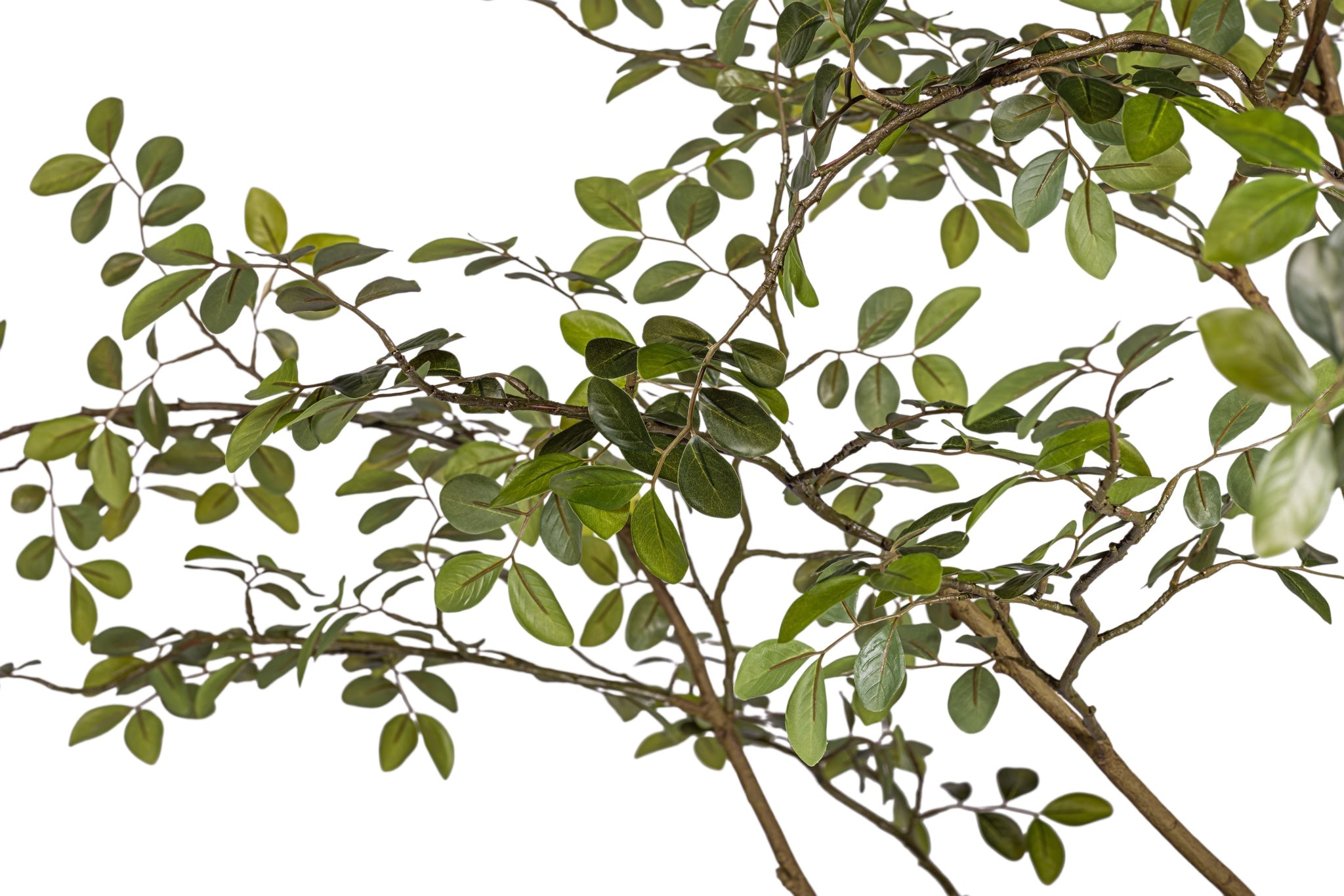 8' Rose Tree FP1473