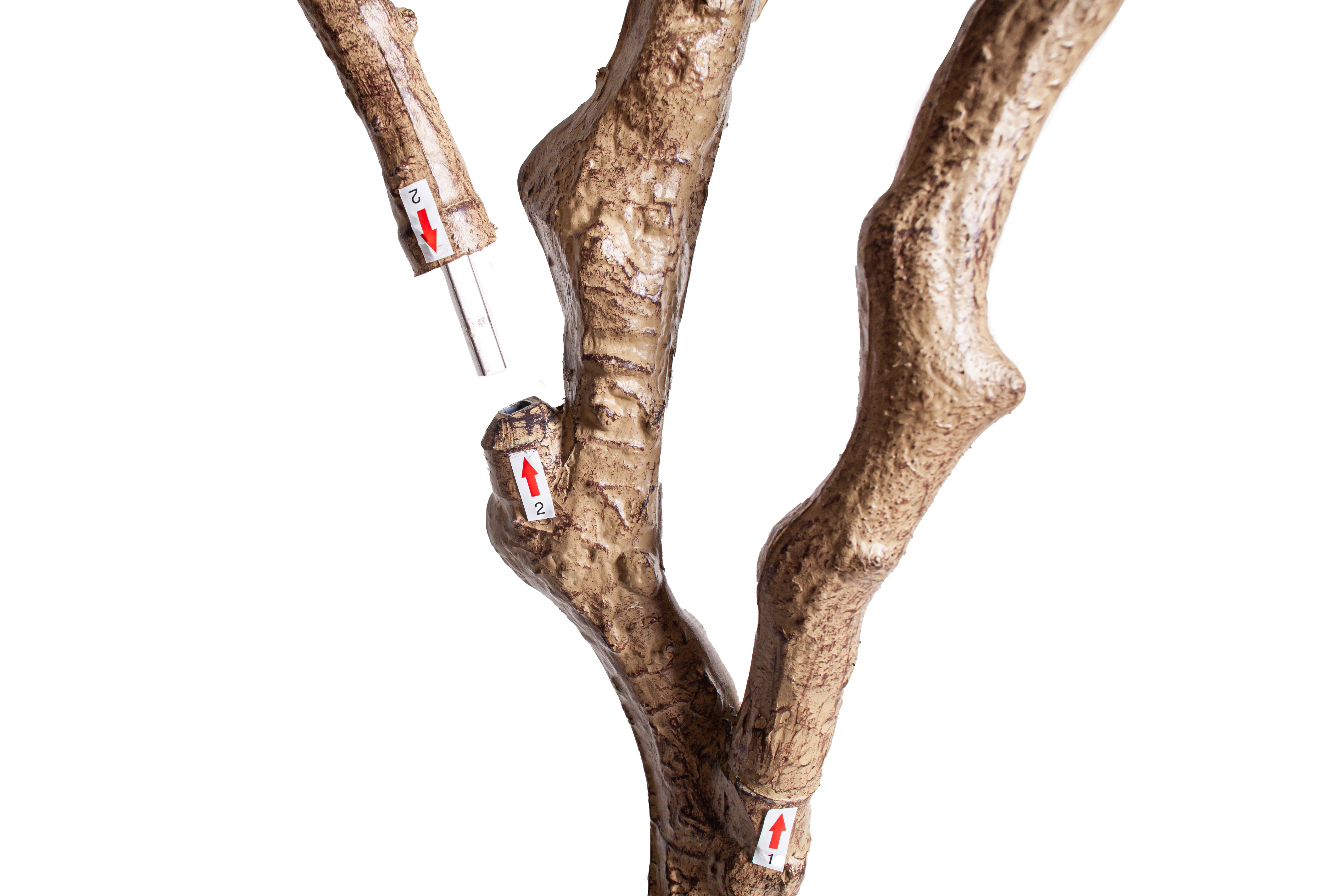 8' Crooked Trunk Olive Tree FP1503