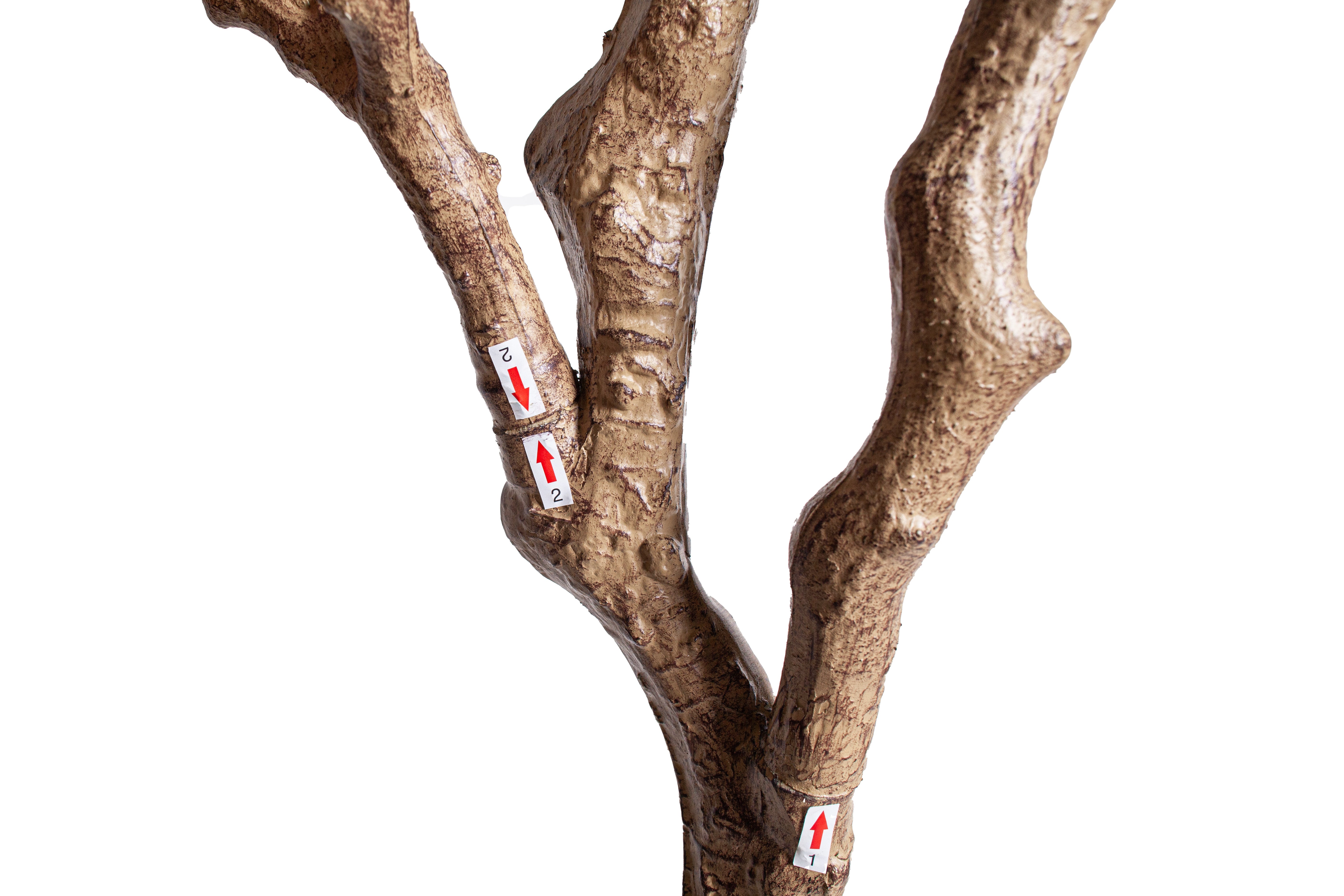 8' Crooked Trunk Olive Tree FP1503