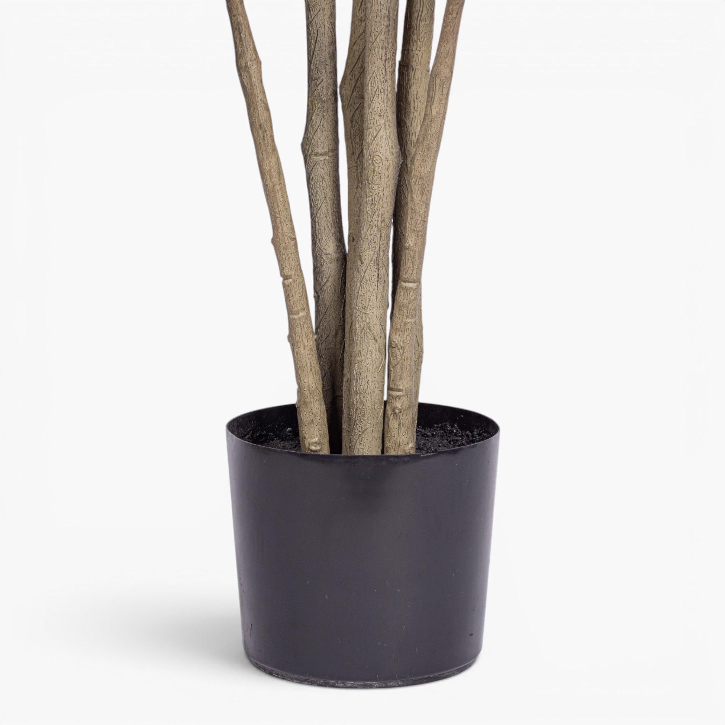 6' Column Fiddle Leaf Fig Tree - UV Treated FP1510
