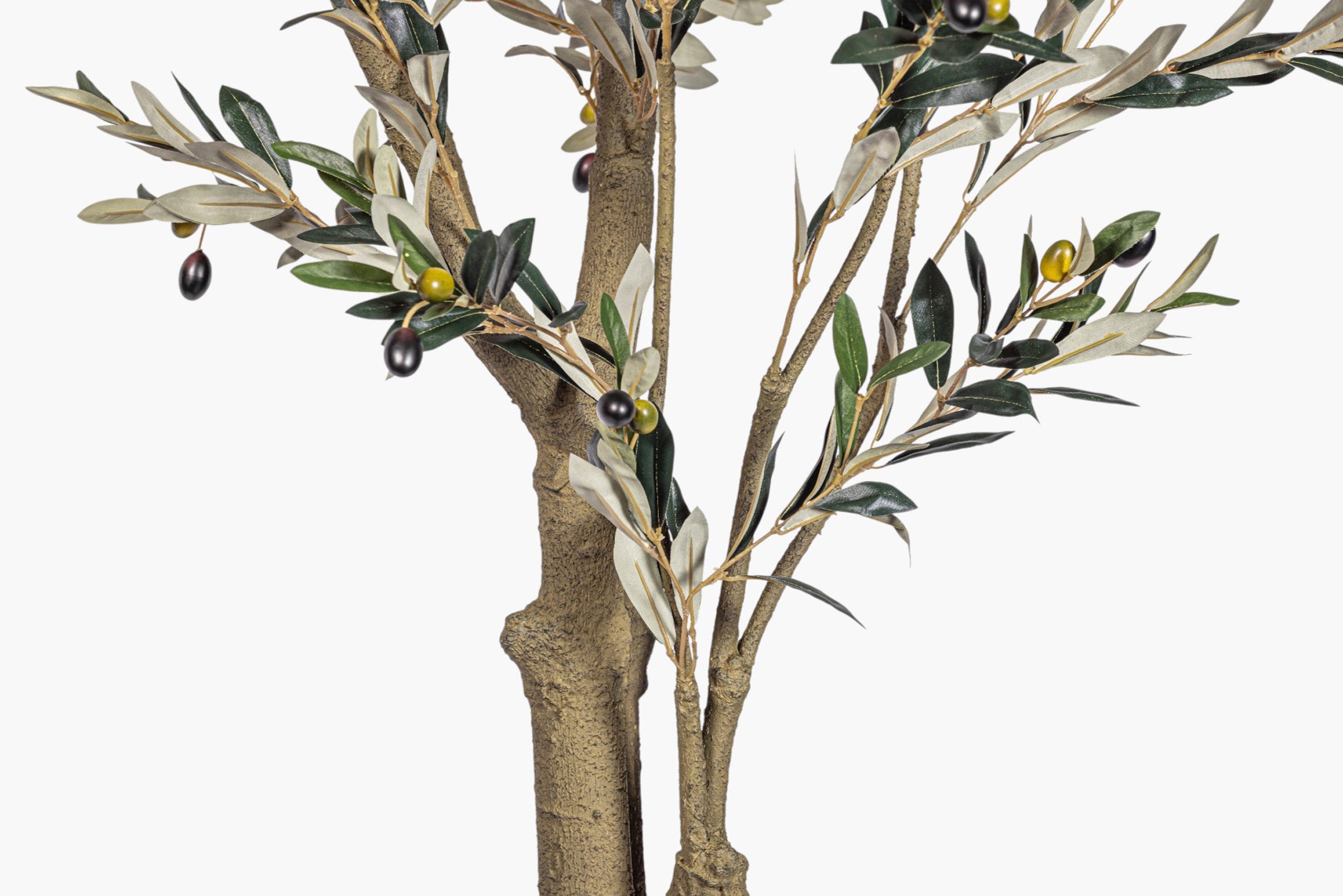8' Olive Tree FP1515