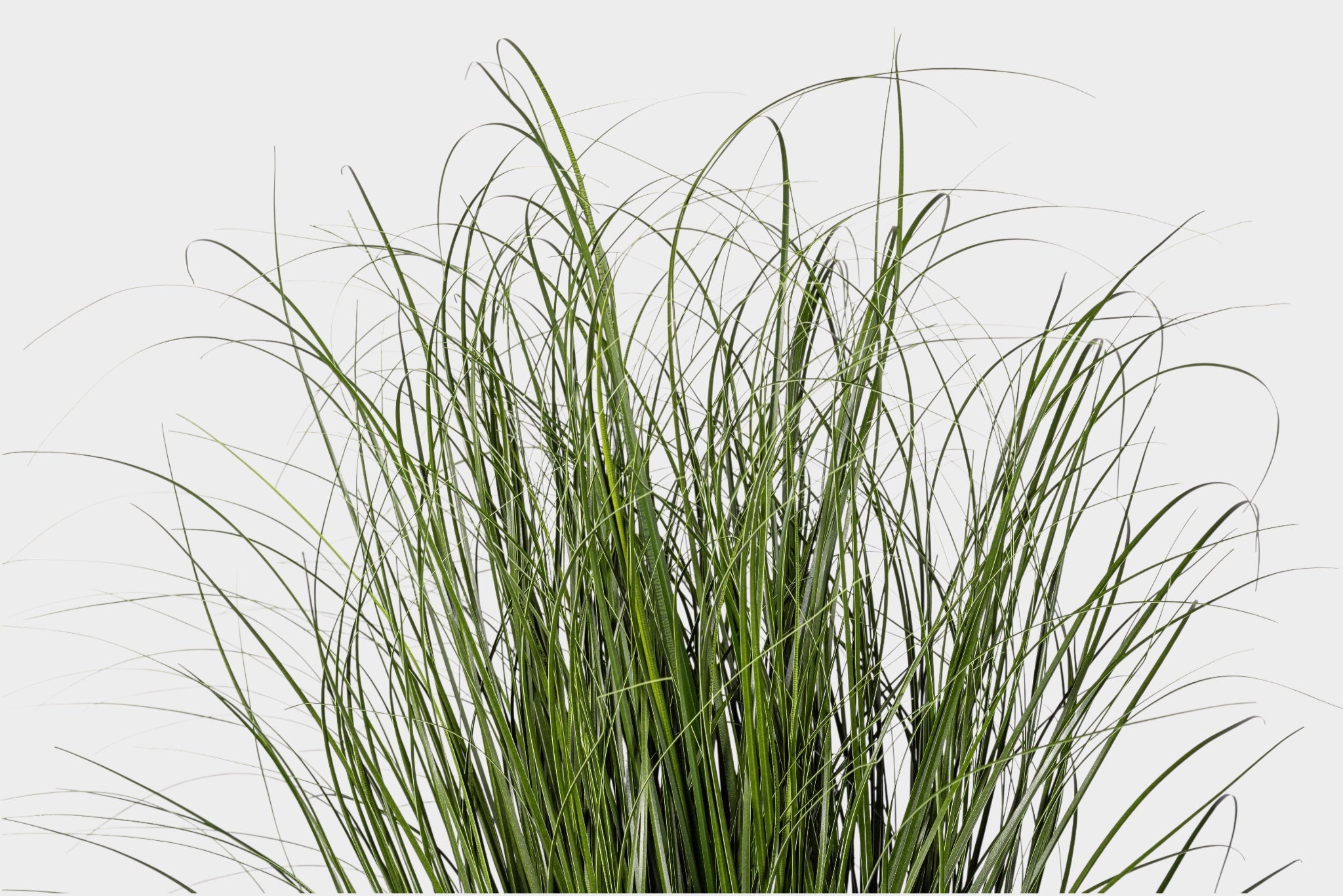 42.5" Potted Grass - UV Treated FP1516UV