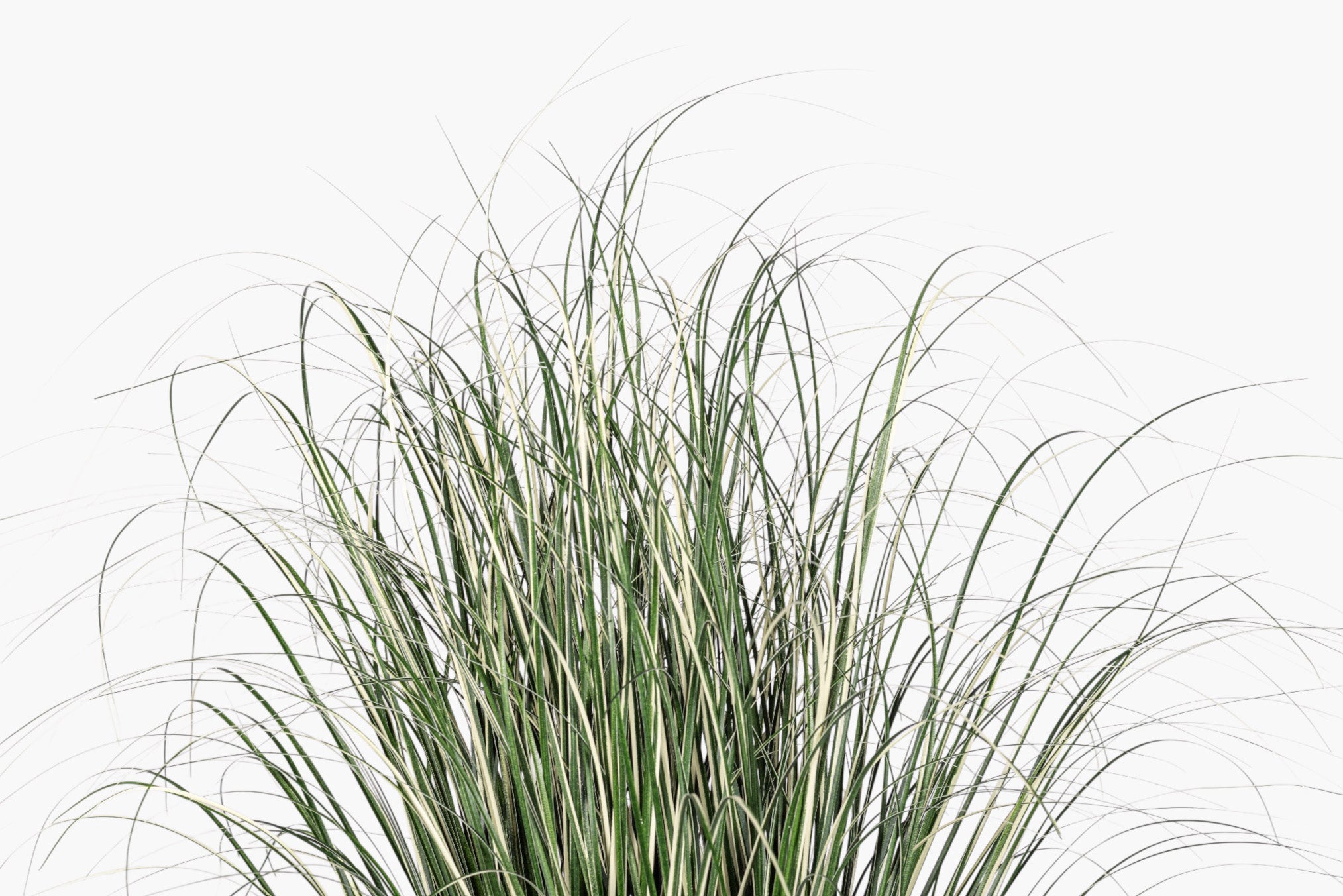 42.5" Potted Grass Variegated - UV Treated FP1517