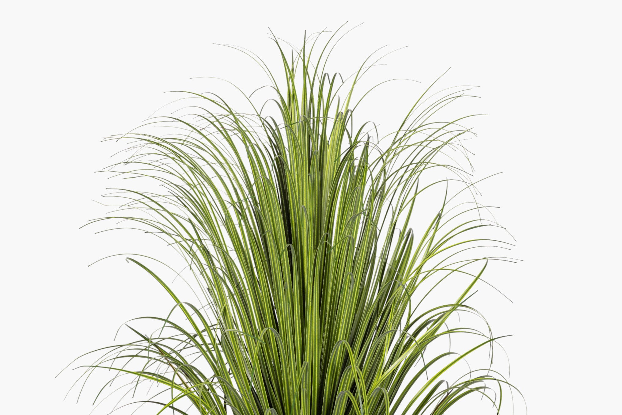 30" Pony Tail Palm Tree - UV Treated FP1518UV