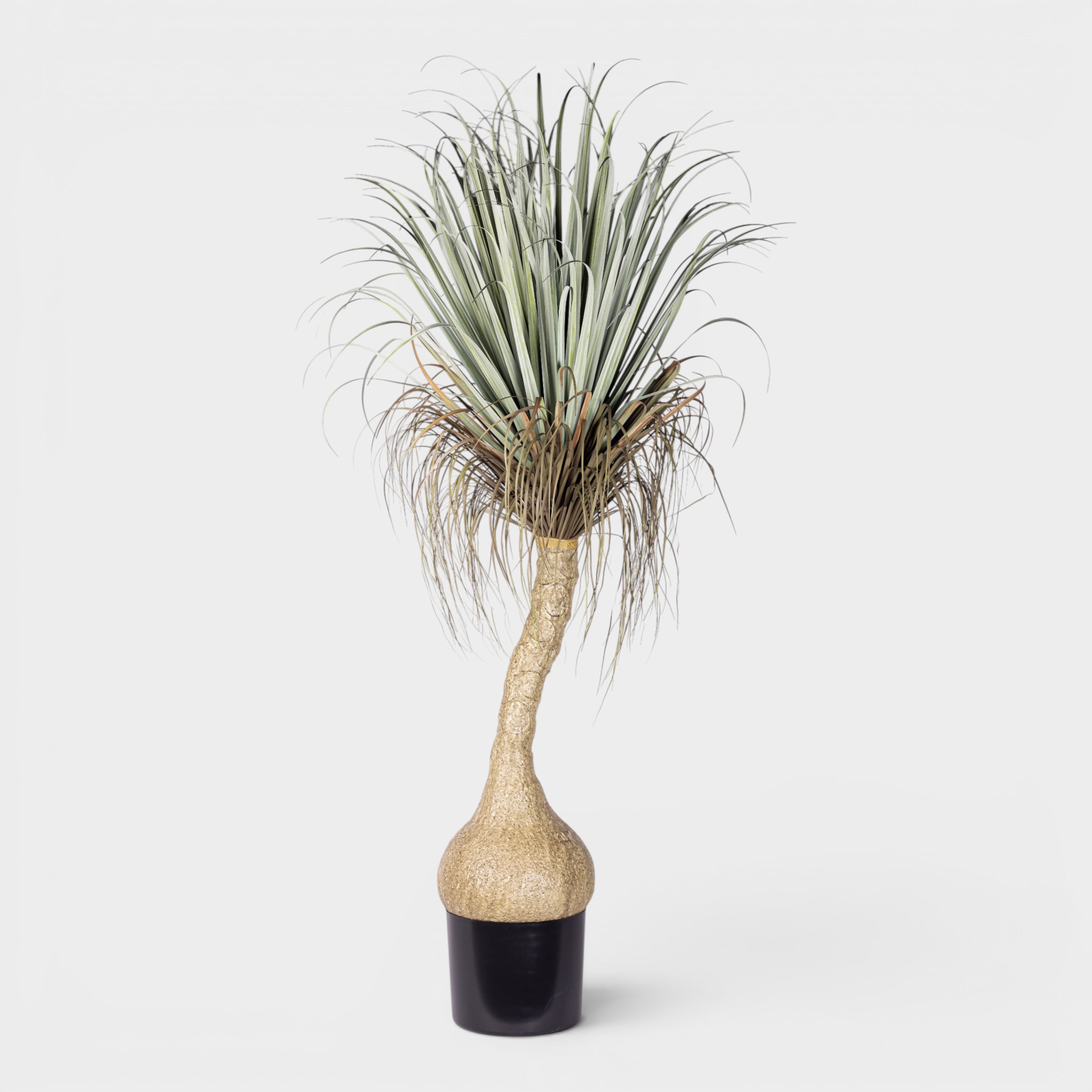 6' Pony Tail Palm Tree - UV Treated FP1520UV