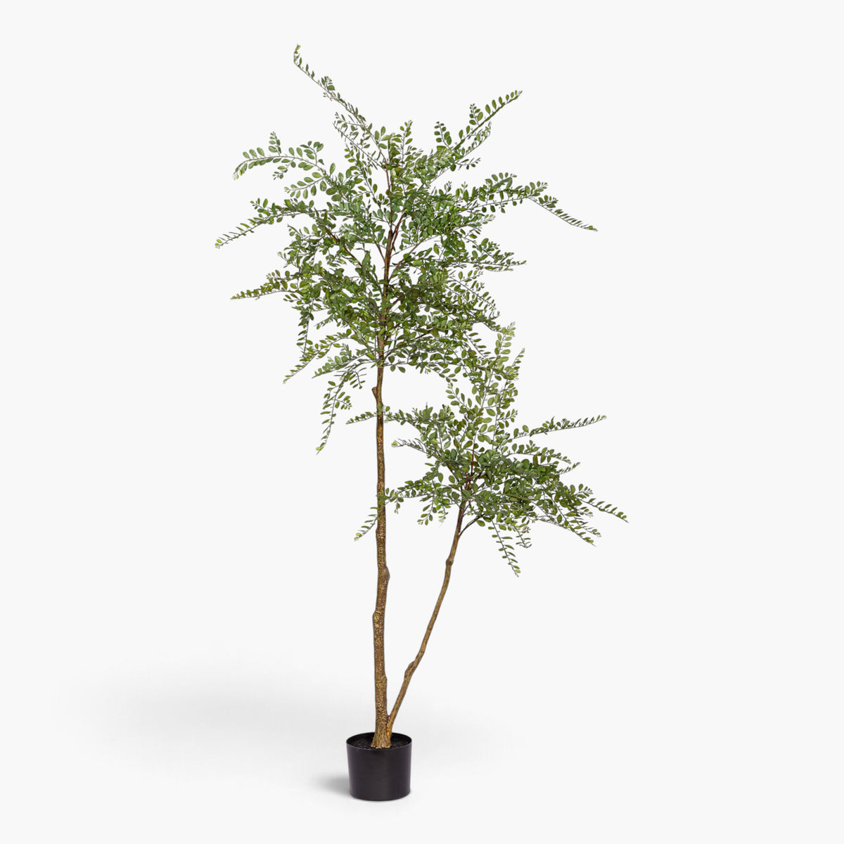 7' Crepe Myrtle Tree FP1523