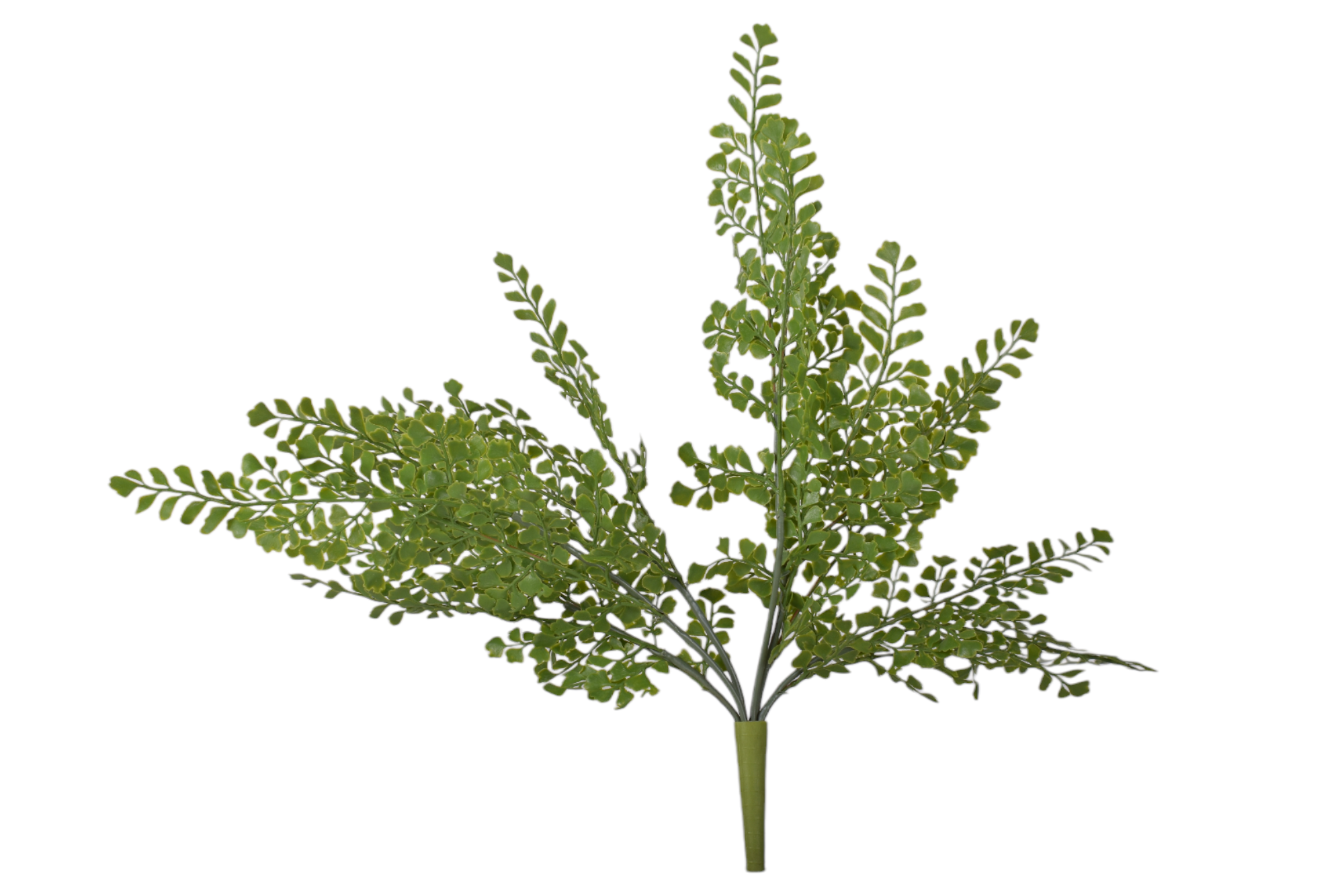 18" Water Grass Fern FR1033