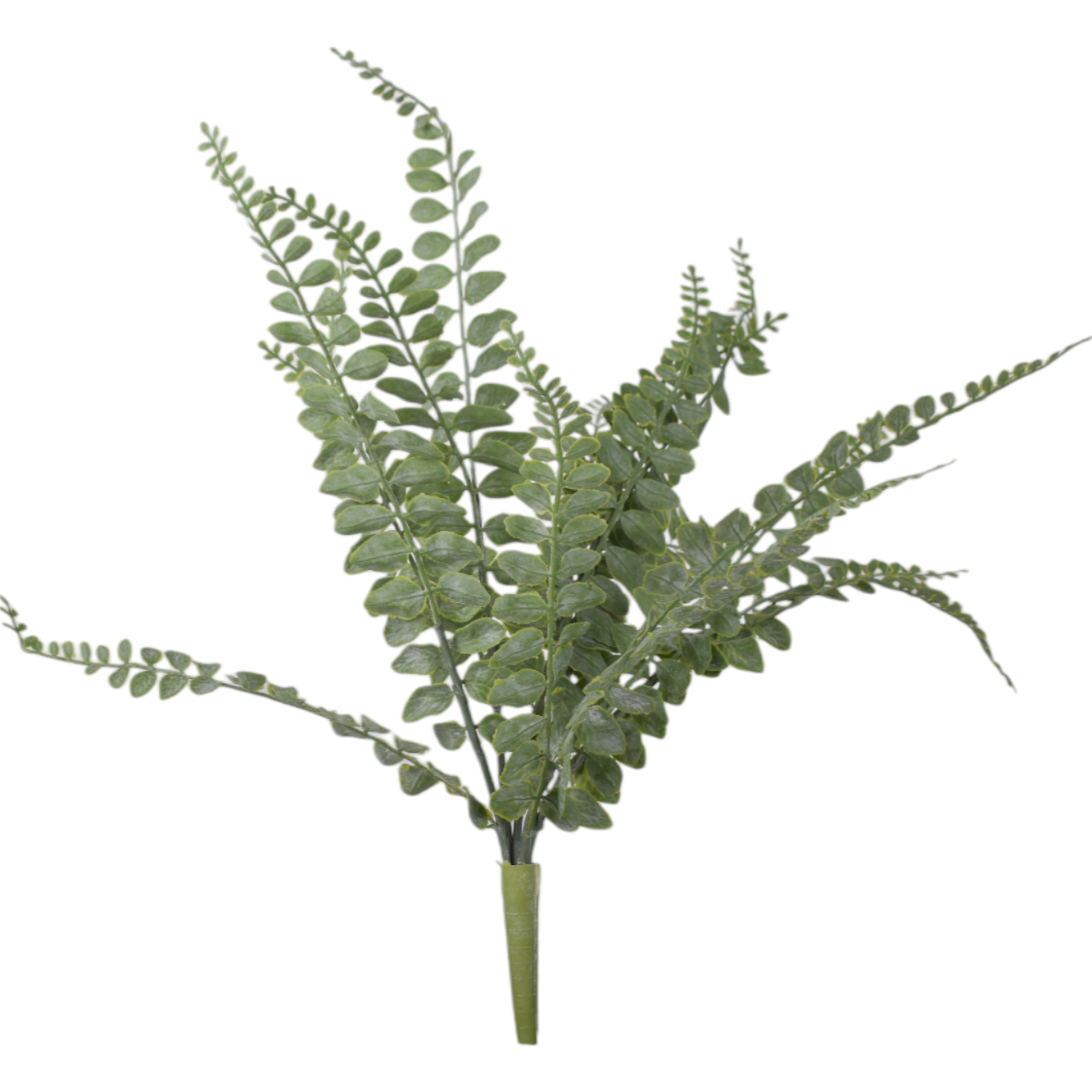 17.5” Water Grass Fern FR1034