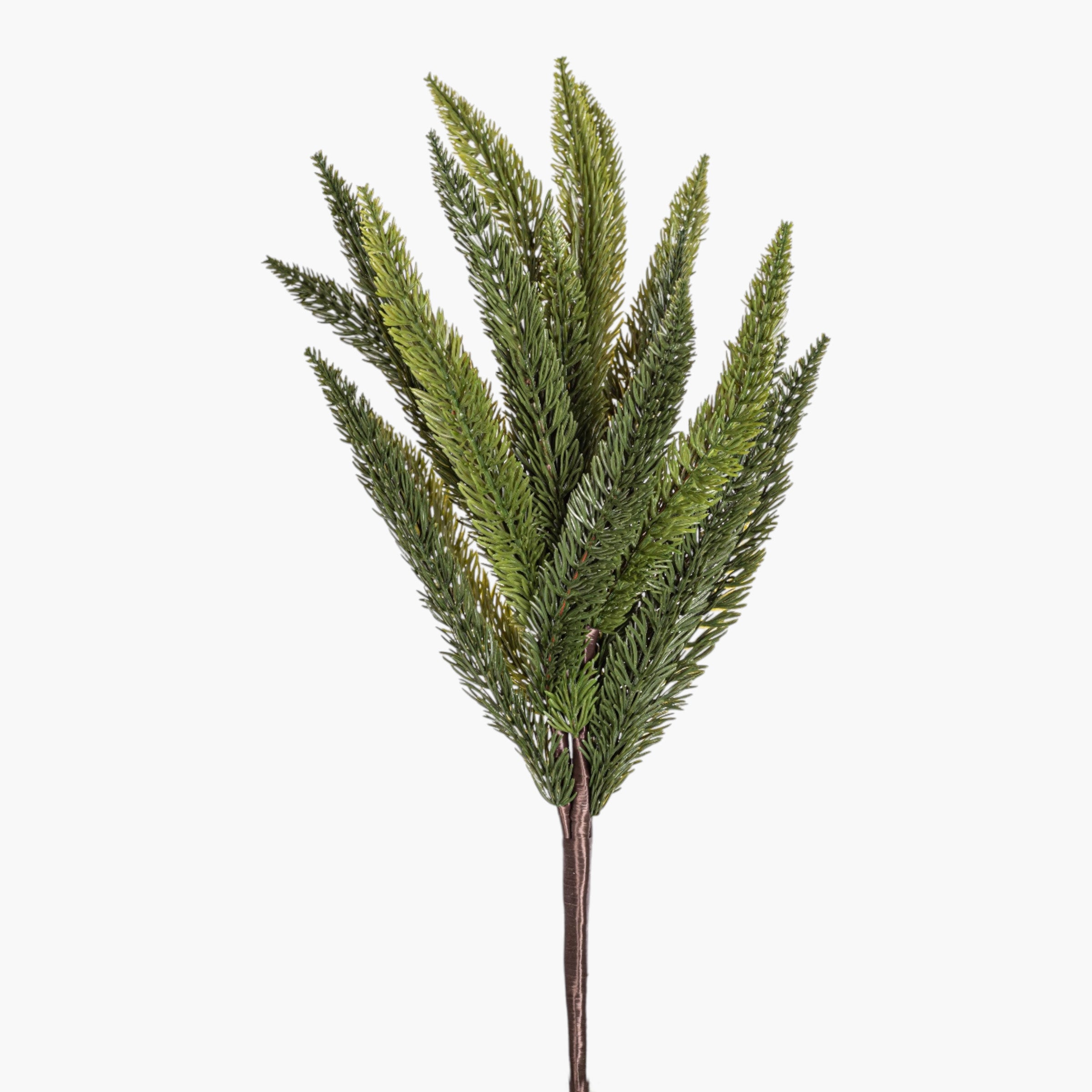 17.5" Aparagus Fern Stem FR1040