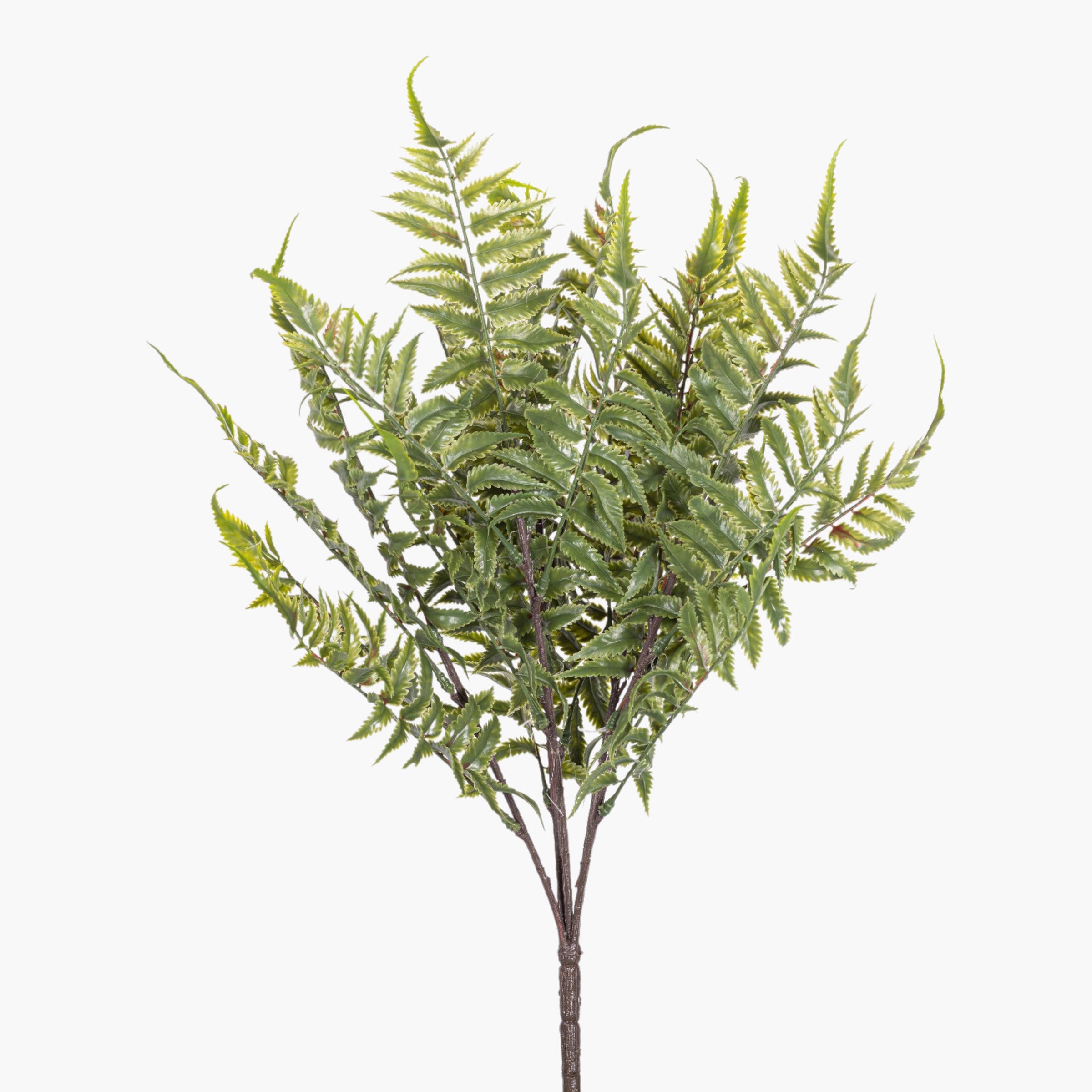 19” Fern Stem FR1043