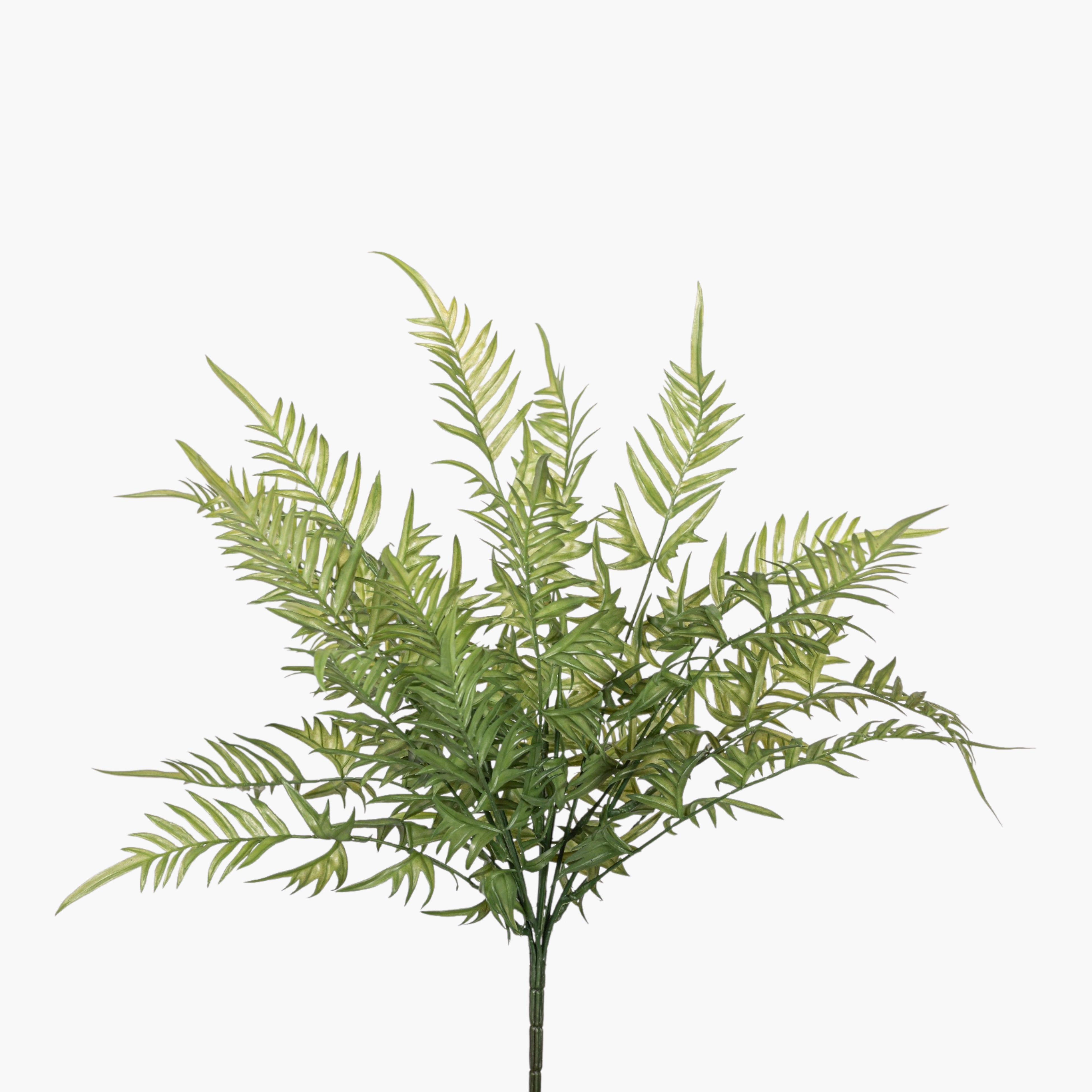 19" Fern Stem FR1044