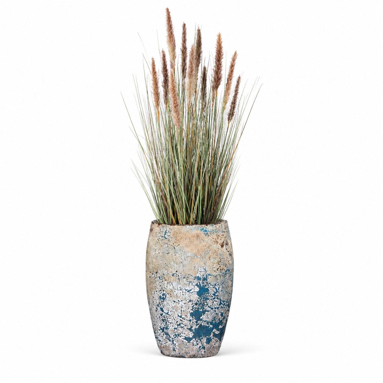 5' Foxtail Grass in Argos Planter PC1479CN1373SM