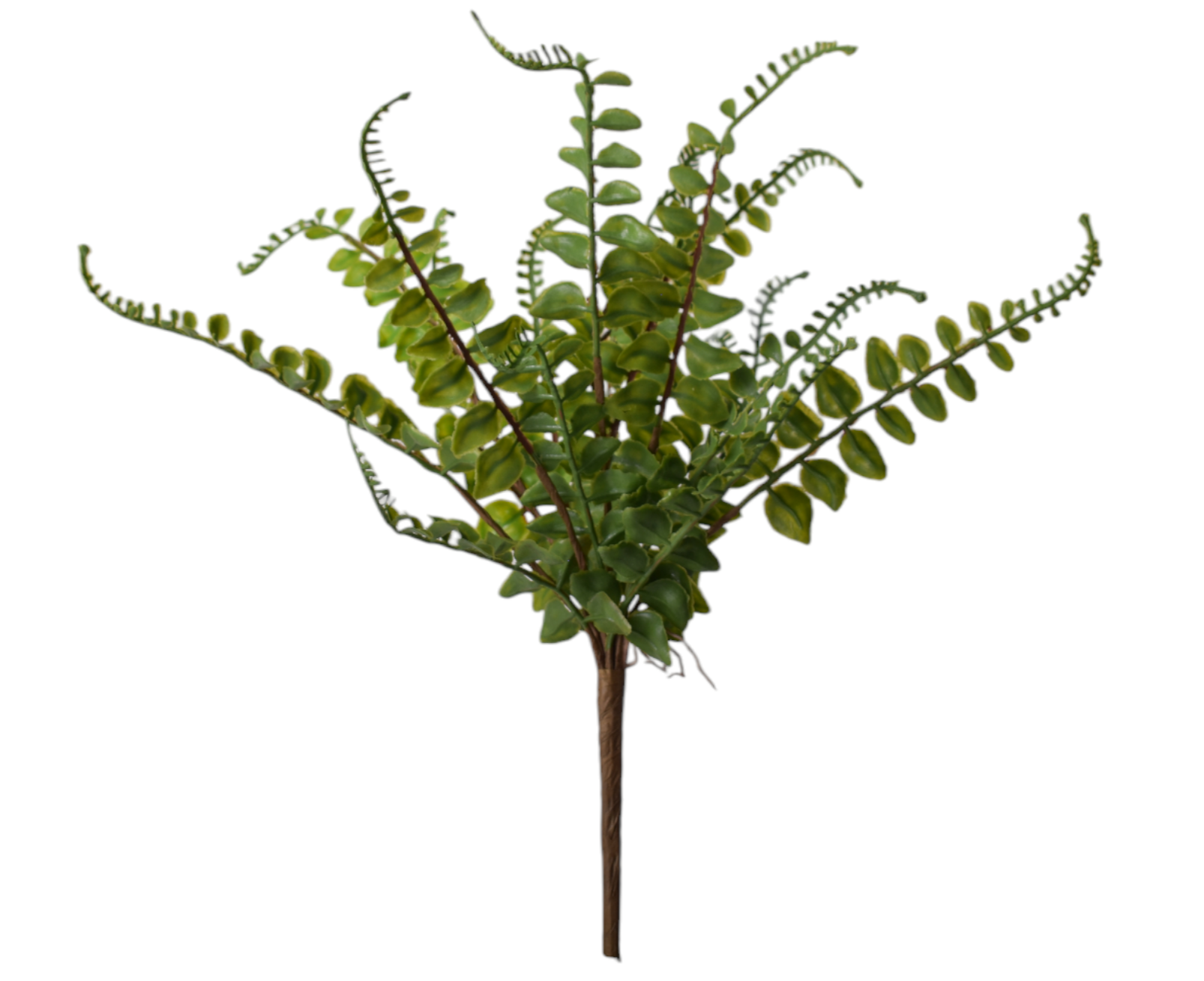 15” Fern GS1037