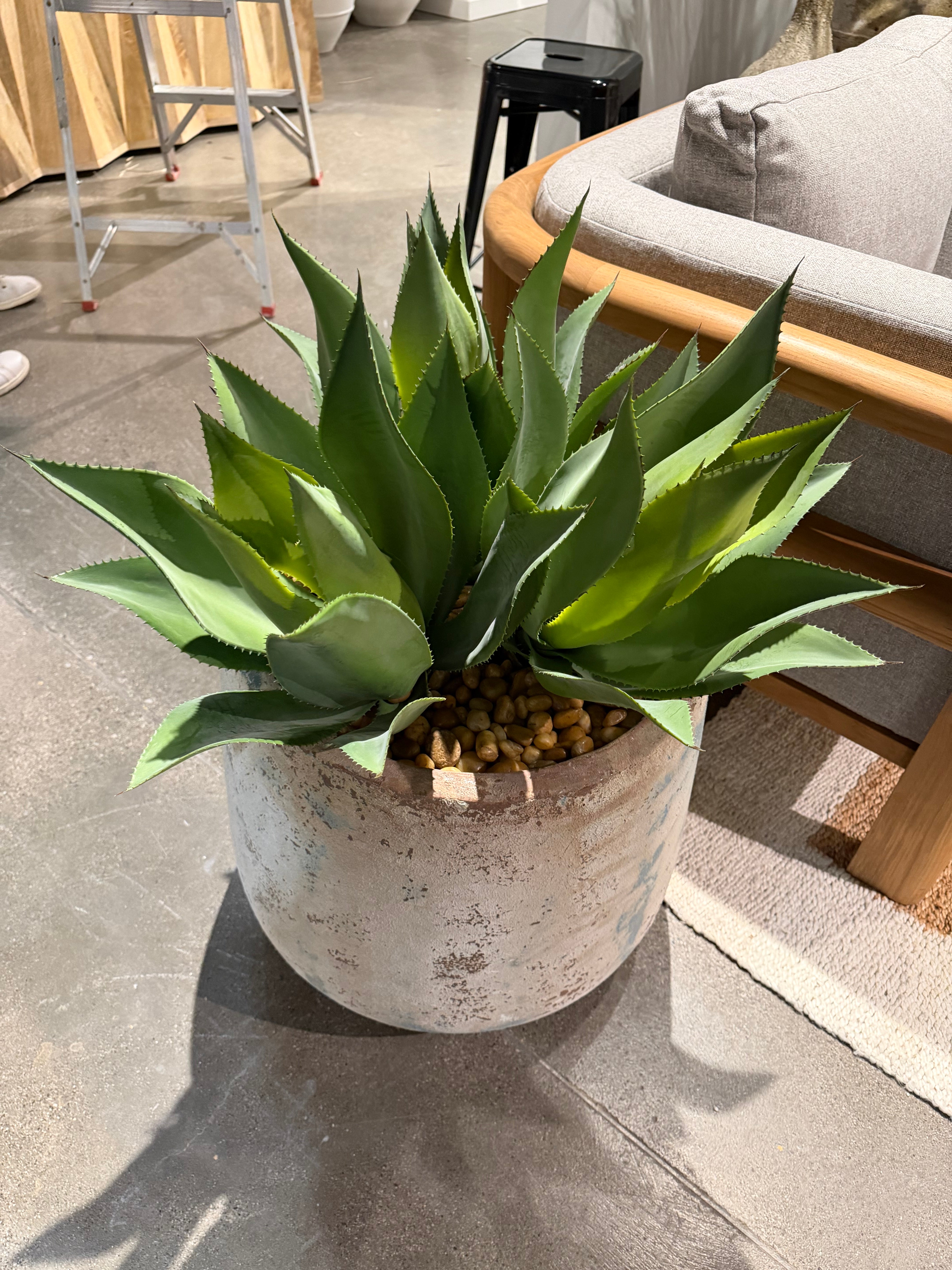 20" Oliver Planter with Agave Arrangement AR1908