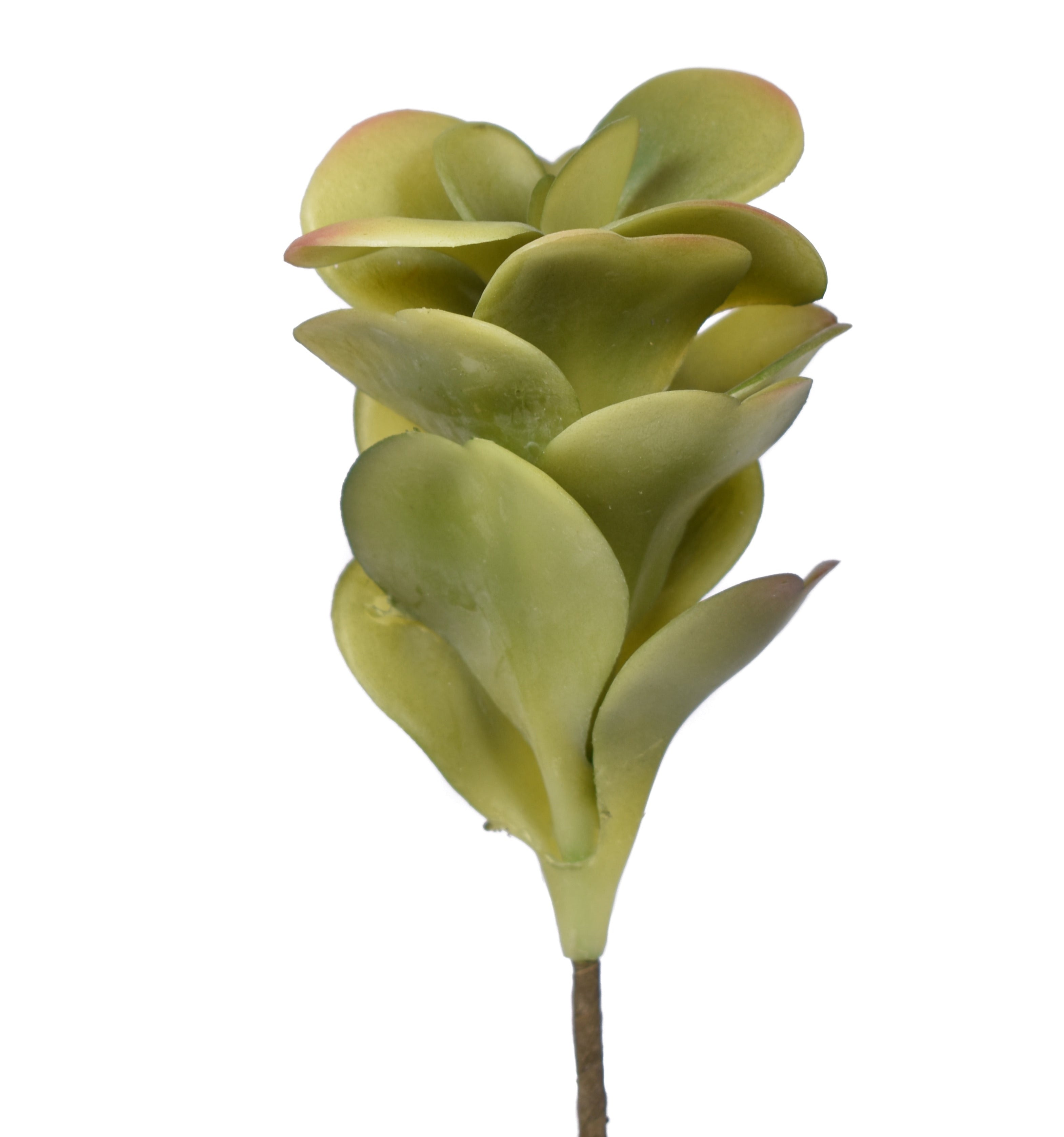 7" Jade Pick- UV Protected JA1008UV