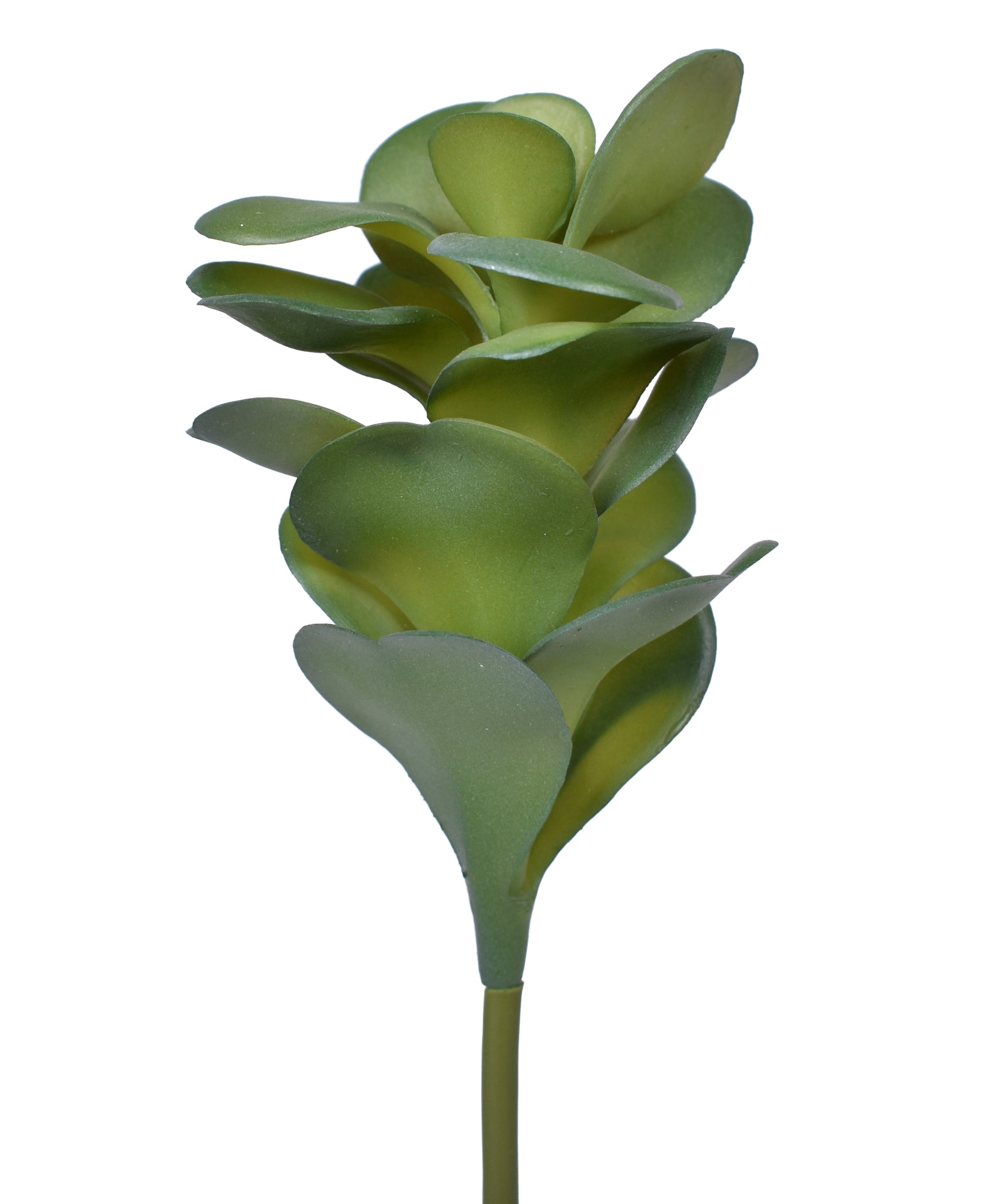9.5" Jade Pick- UV Protected JA1009UV