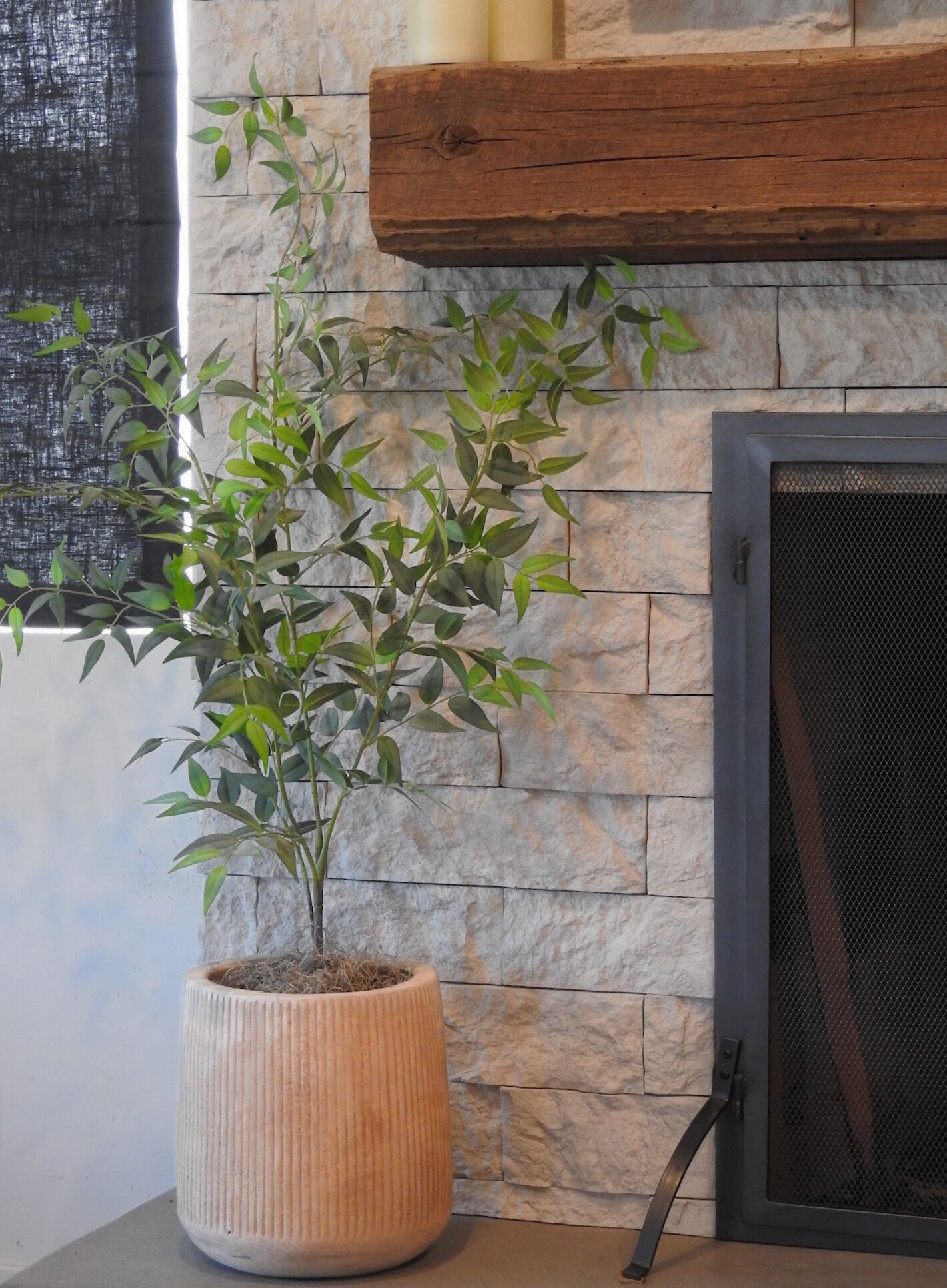 47" Italian Ruscus- UV Treated ST1158UV