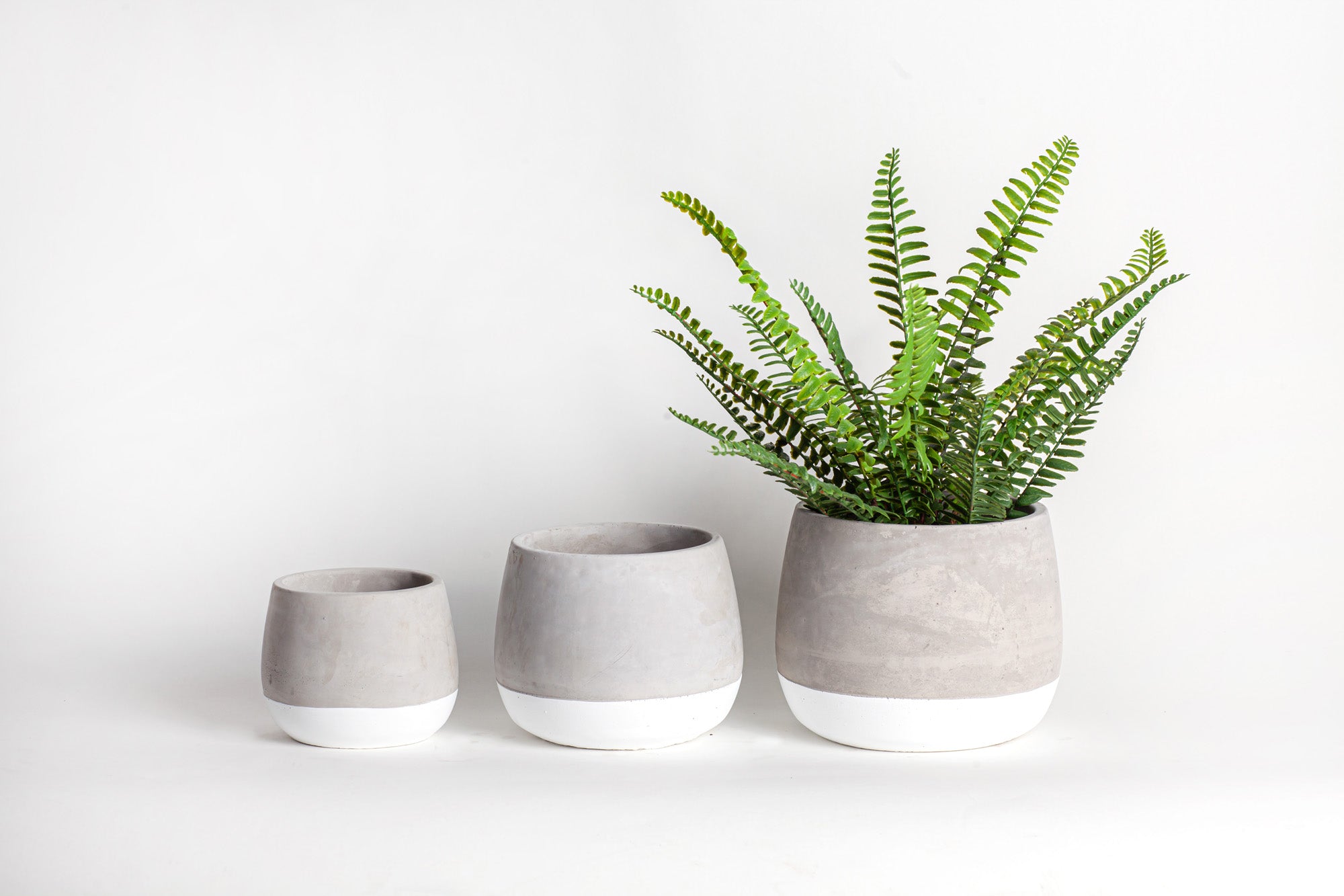 Ellie Pot   CN1056