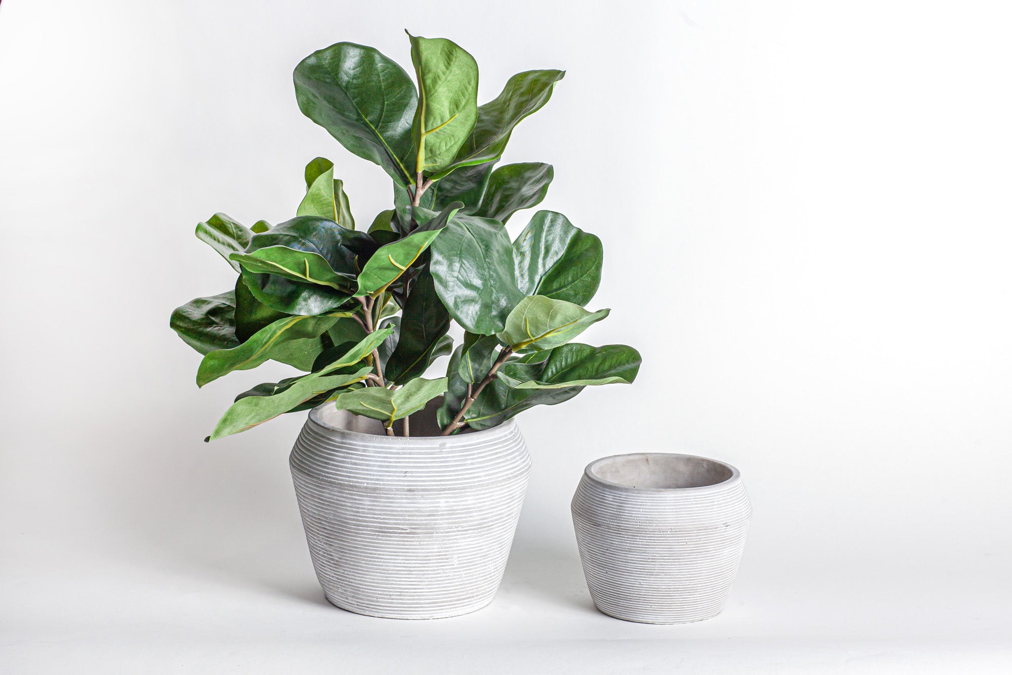 Grayson Pot Collection   CN1086