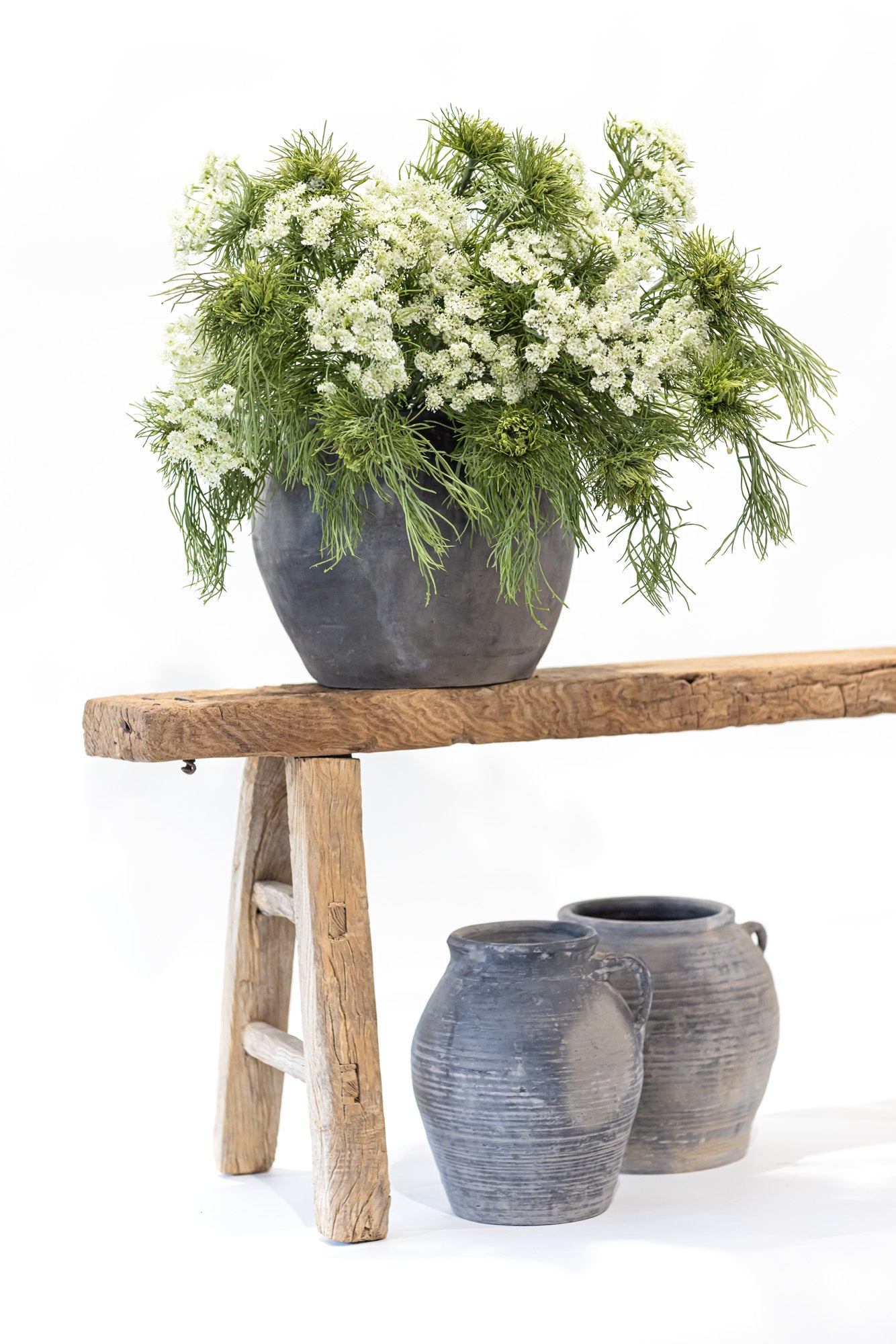 Queen Anne's Lace Arrangement AR1157