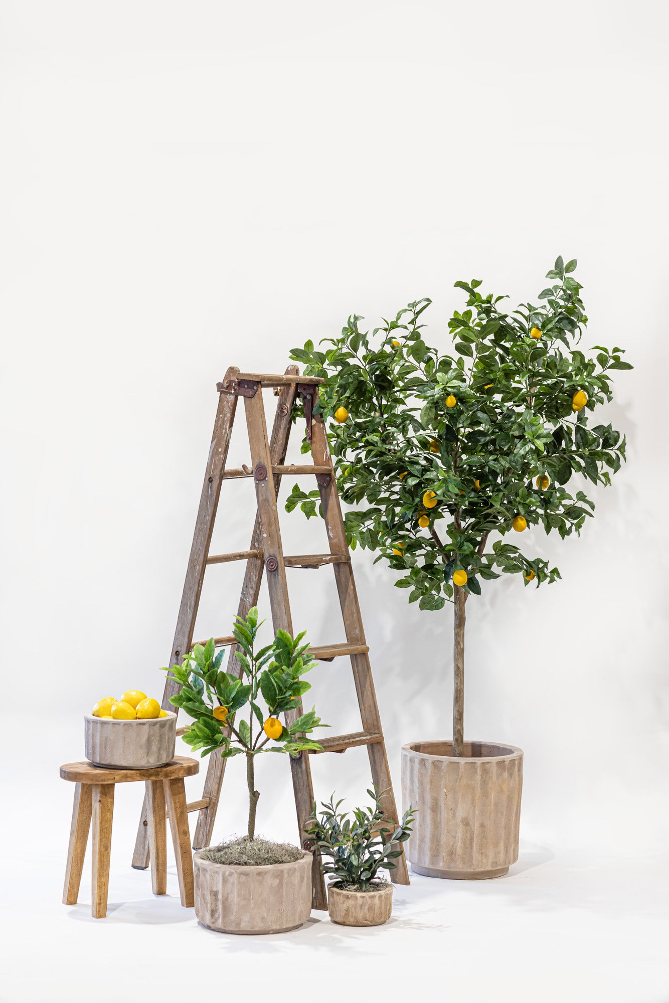 7’ Lemon Tree- UV Protected FP1293