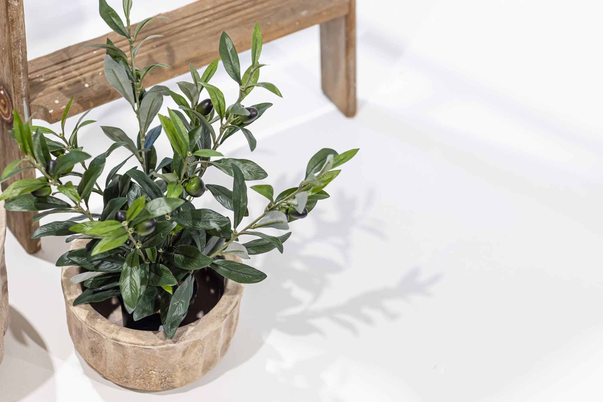 16" Potted Olive Plant- UV Protected PP1050