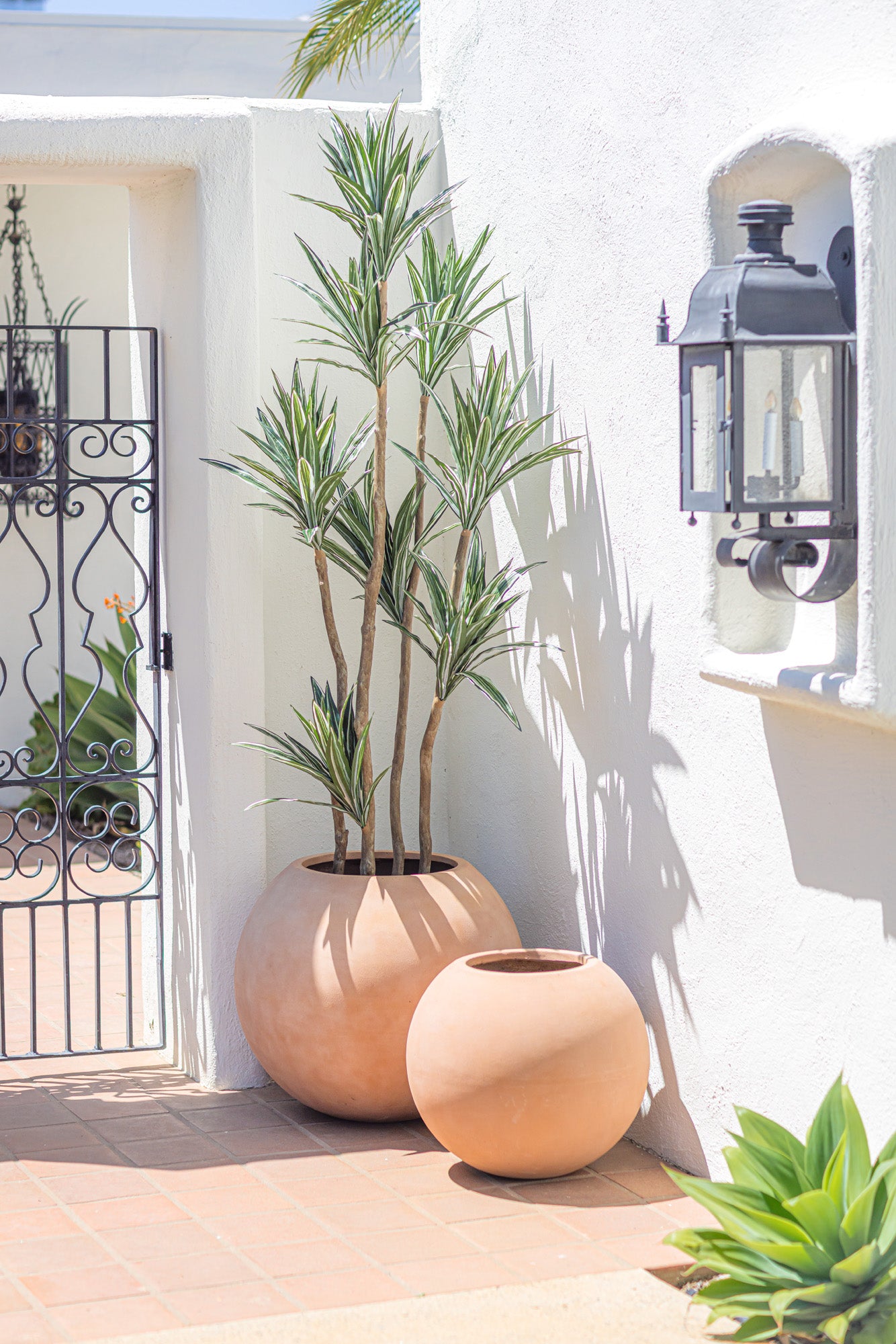 7' Dracaena Tree- UV Treated FP1286