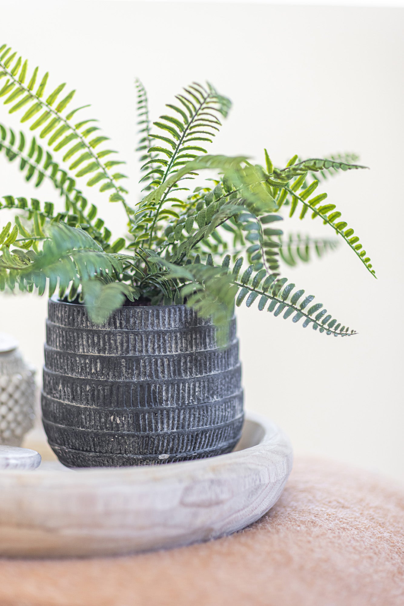 Zilla Pot CN1049