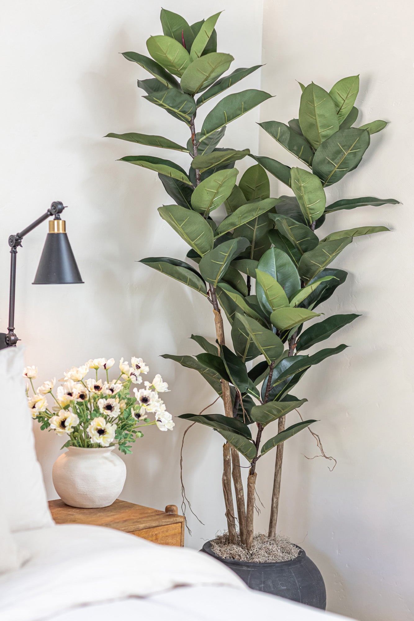 6’ Rubber Tree - UV Protected FP1306