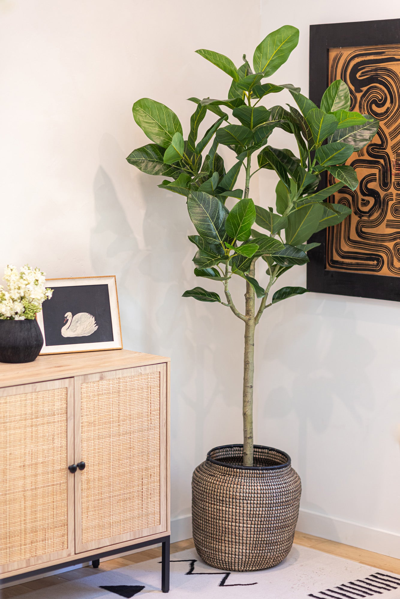 6' Audrey Ficus FP1466