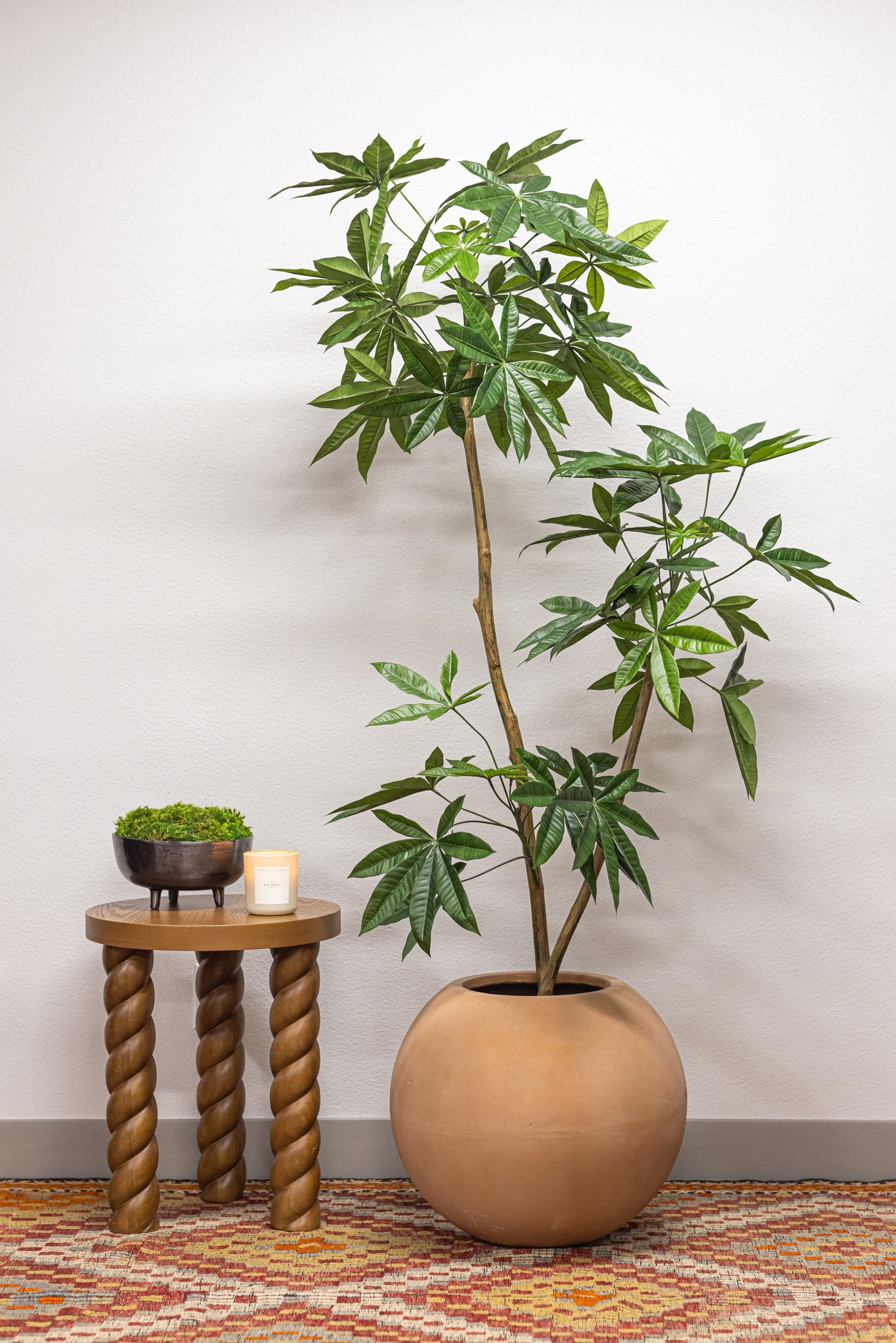 6' Money Tree FP1413