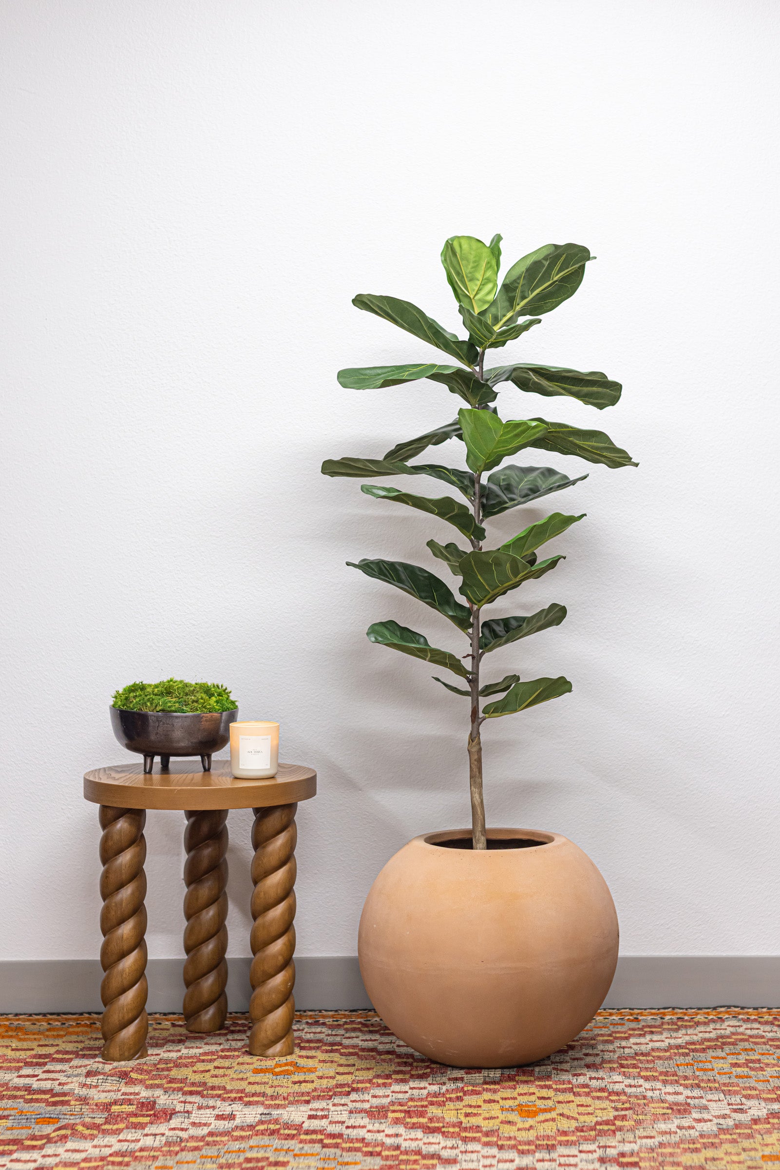 5' Fiddle Leaf Fig Tree- UV Protected FP1290