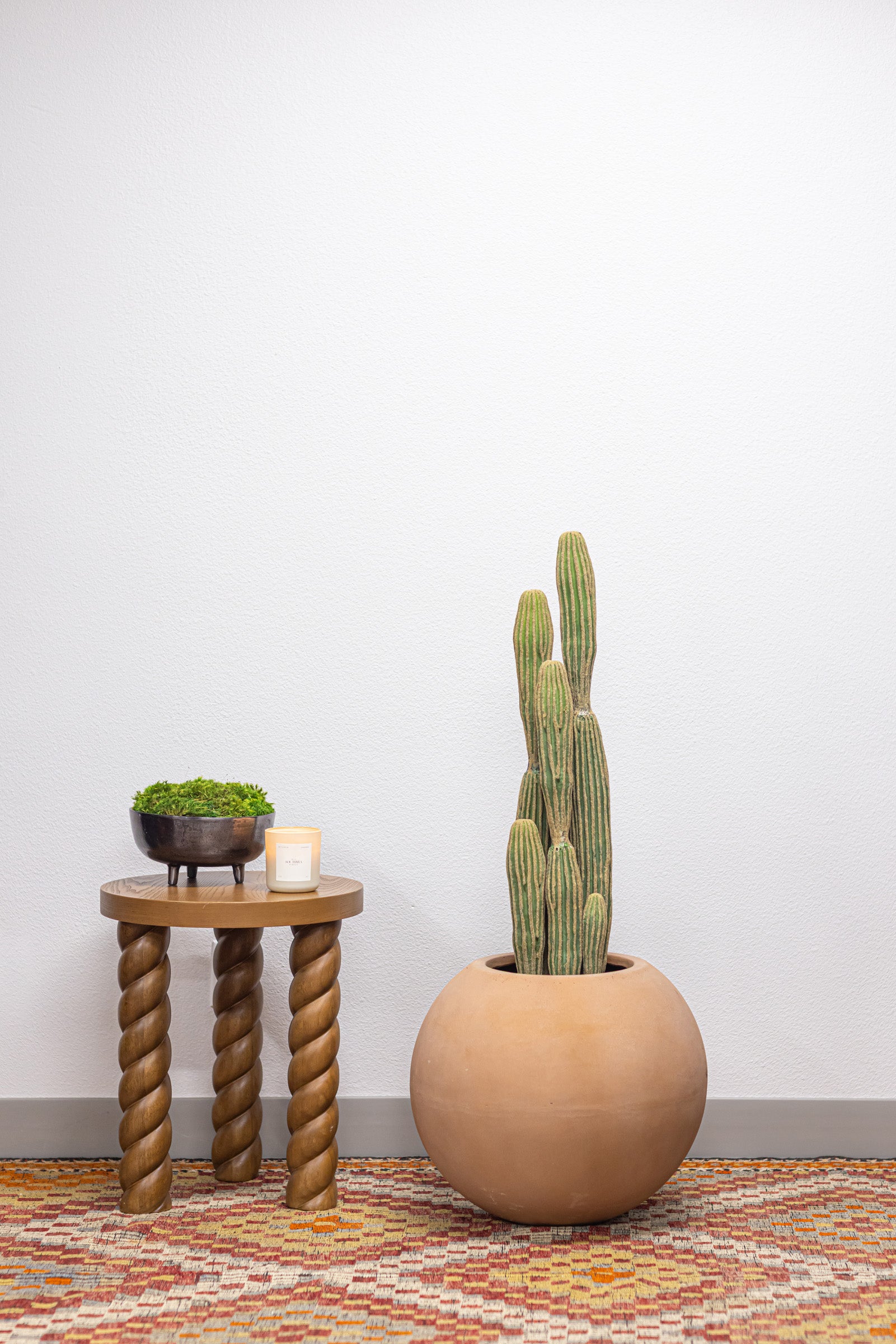 Cereus Cactus Plant-UV Treated