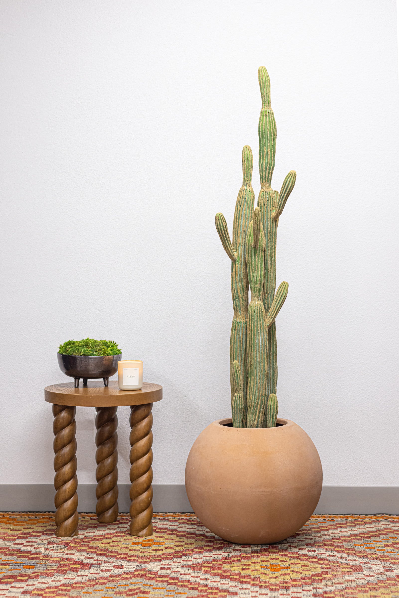 Cereus Cactus Plant-UV Treated