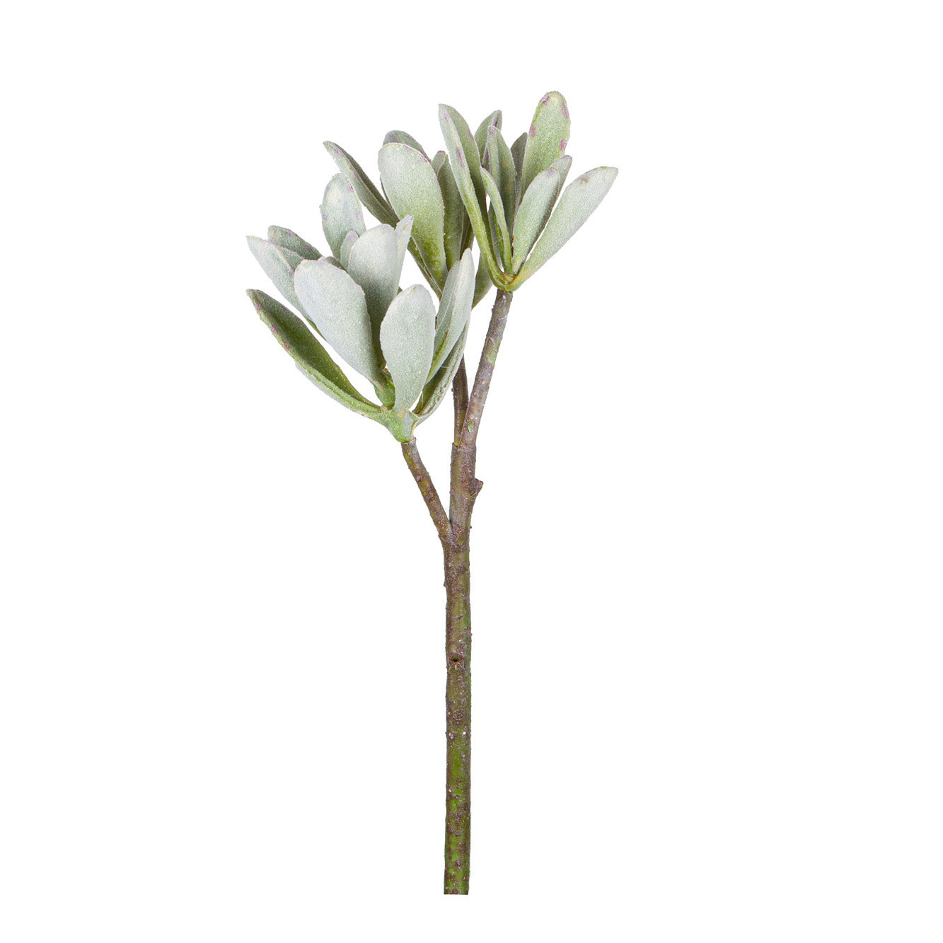 16" Succulent Stem-2 Heads MH1019