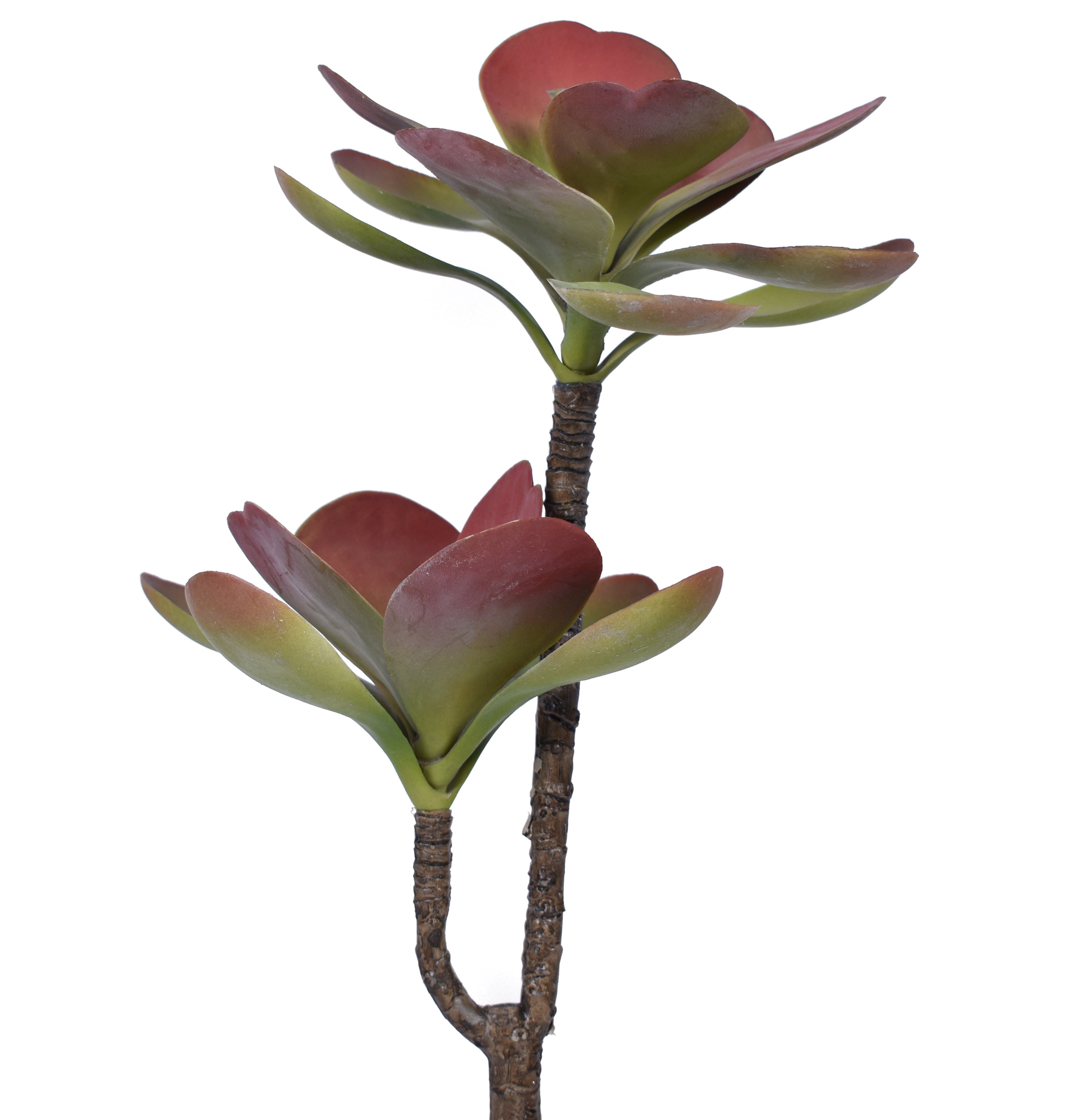 12" Dusty Red Echeveria Stem- UV Protected MH1026UV