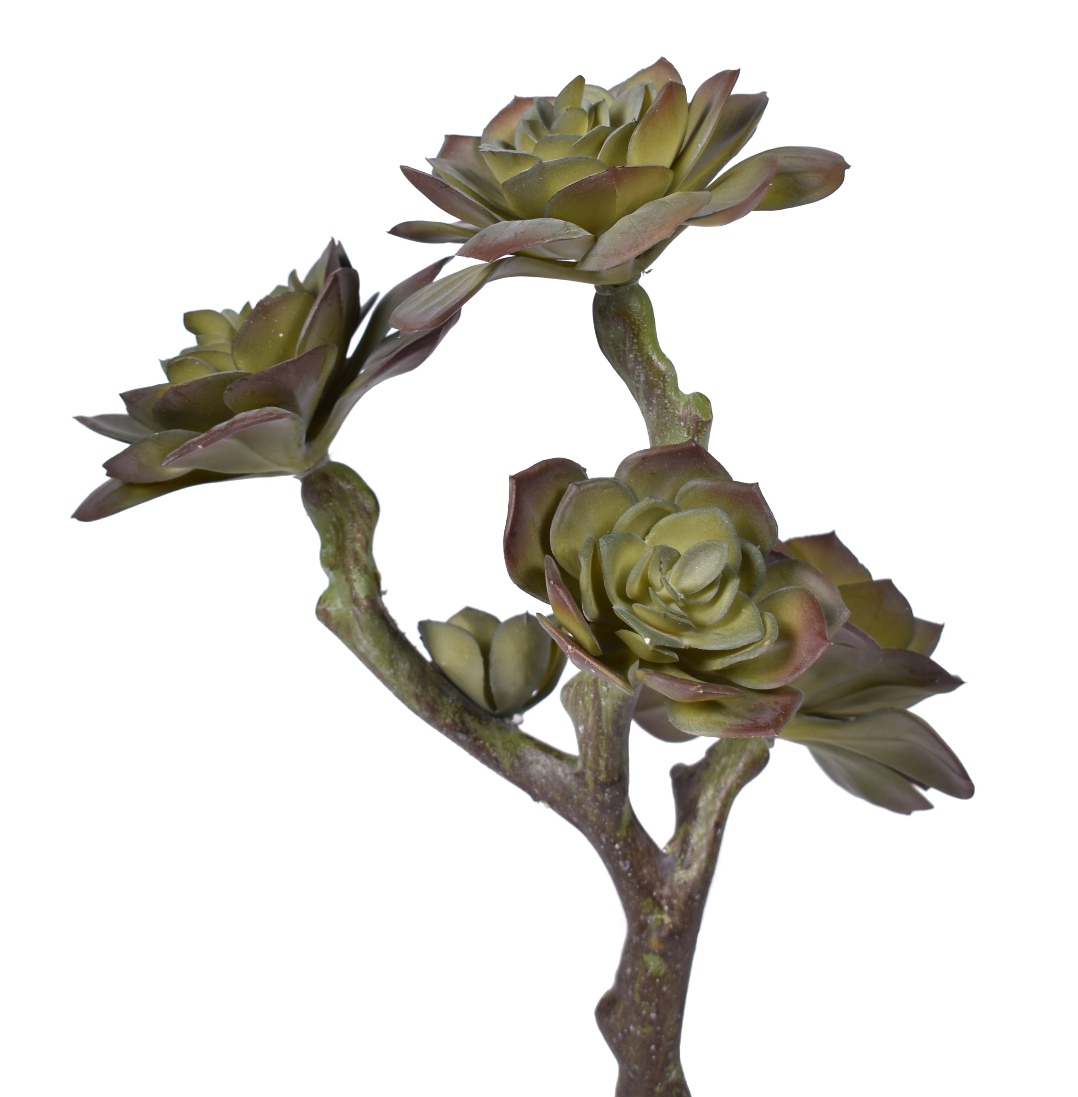 12" Multi Head Echeveria Stem- UV Protected MH1027UV